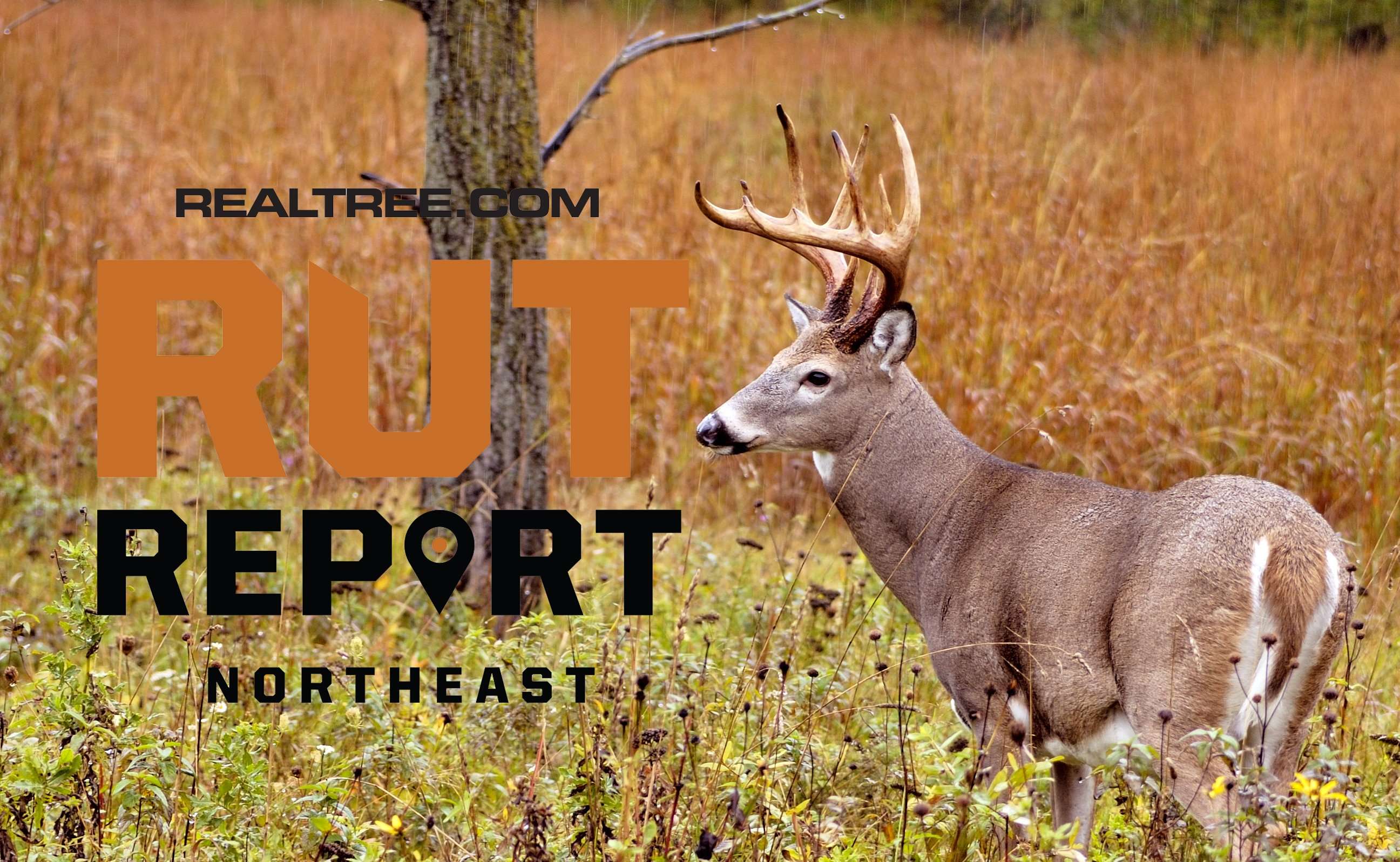 Predator rut 2025 series parka