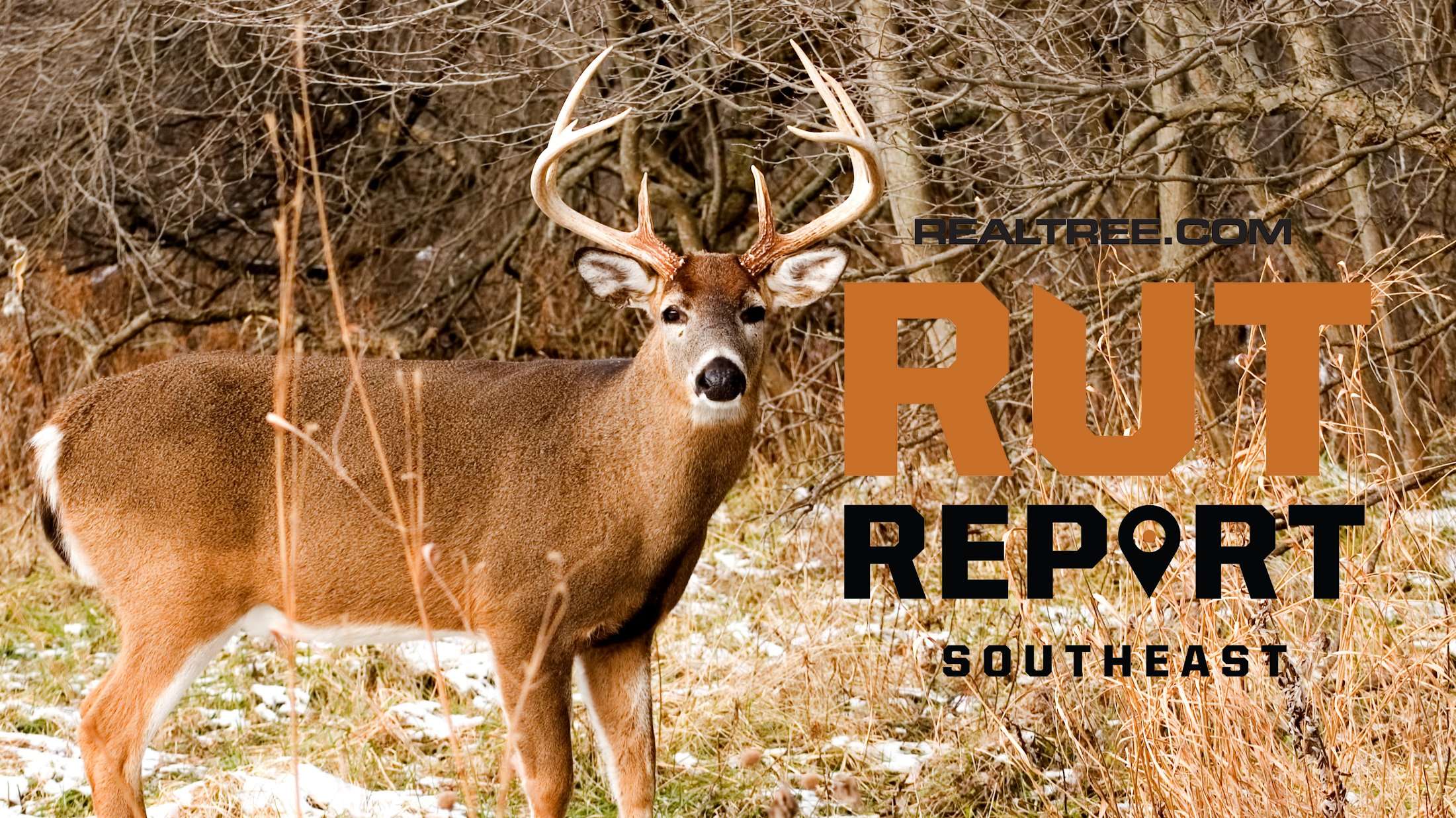 Looking Back on the 2023 Southeast Rut Report - Realtree Camo