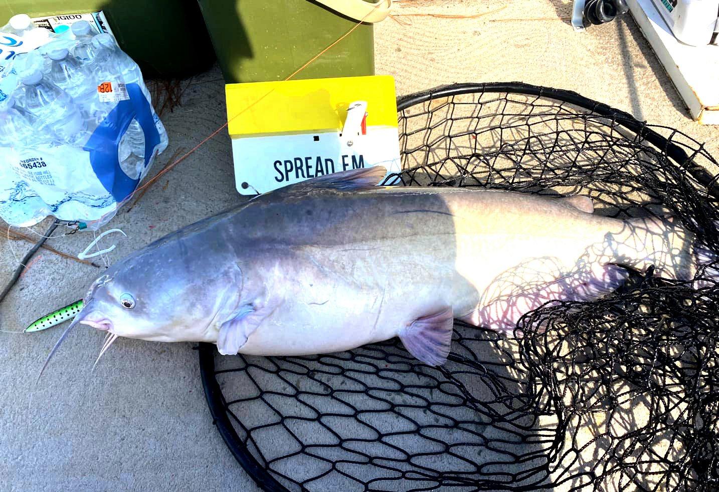 Image: ImageBy_Capt._Richard_Simms_catfish_planer_boards_2