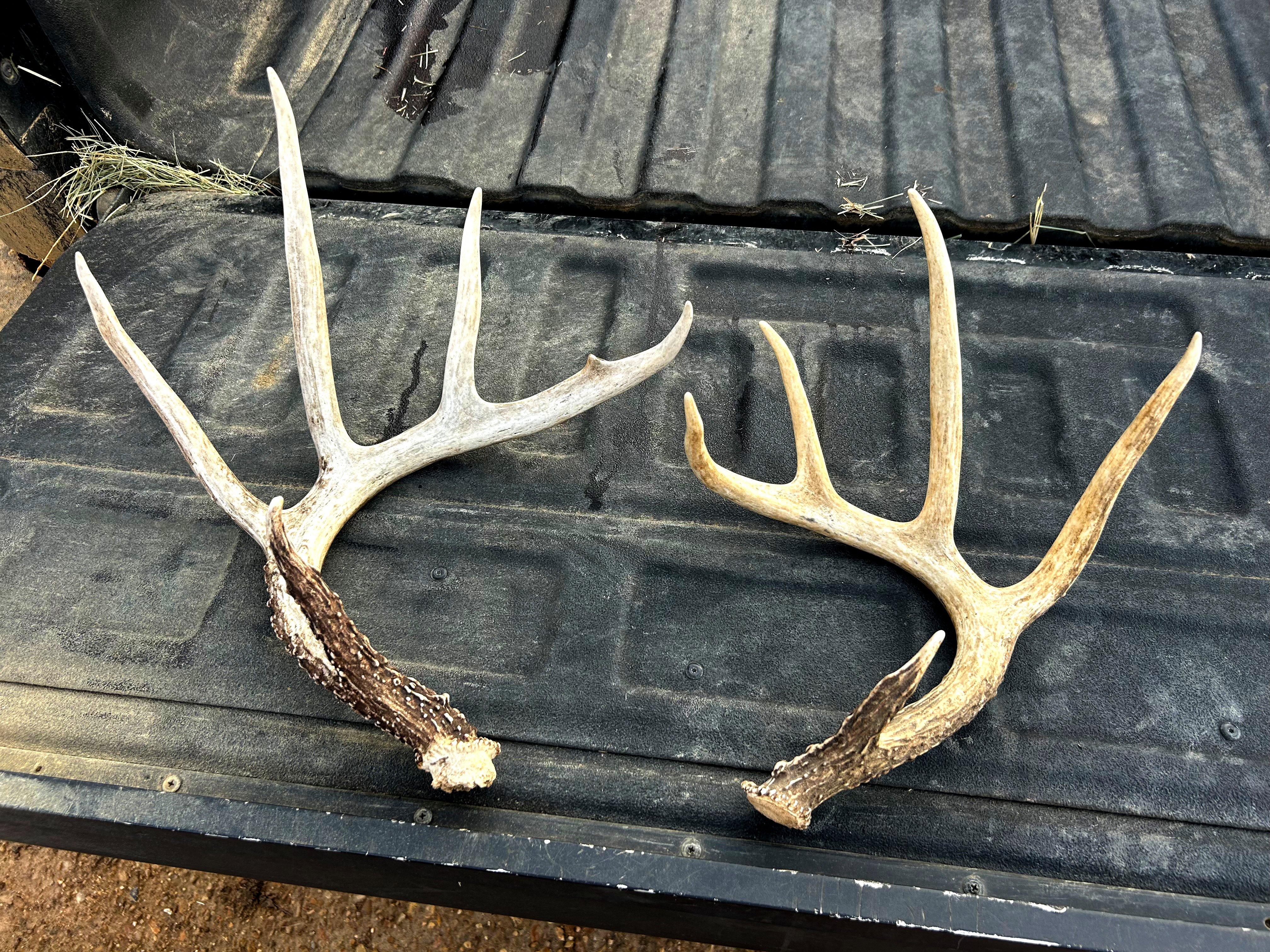 Image: ImageBy_Caroline_Winters_rack_8