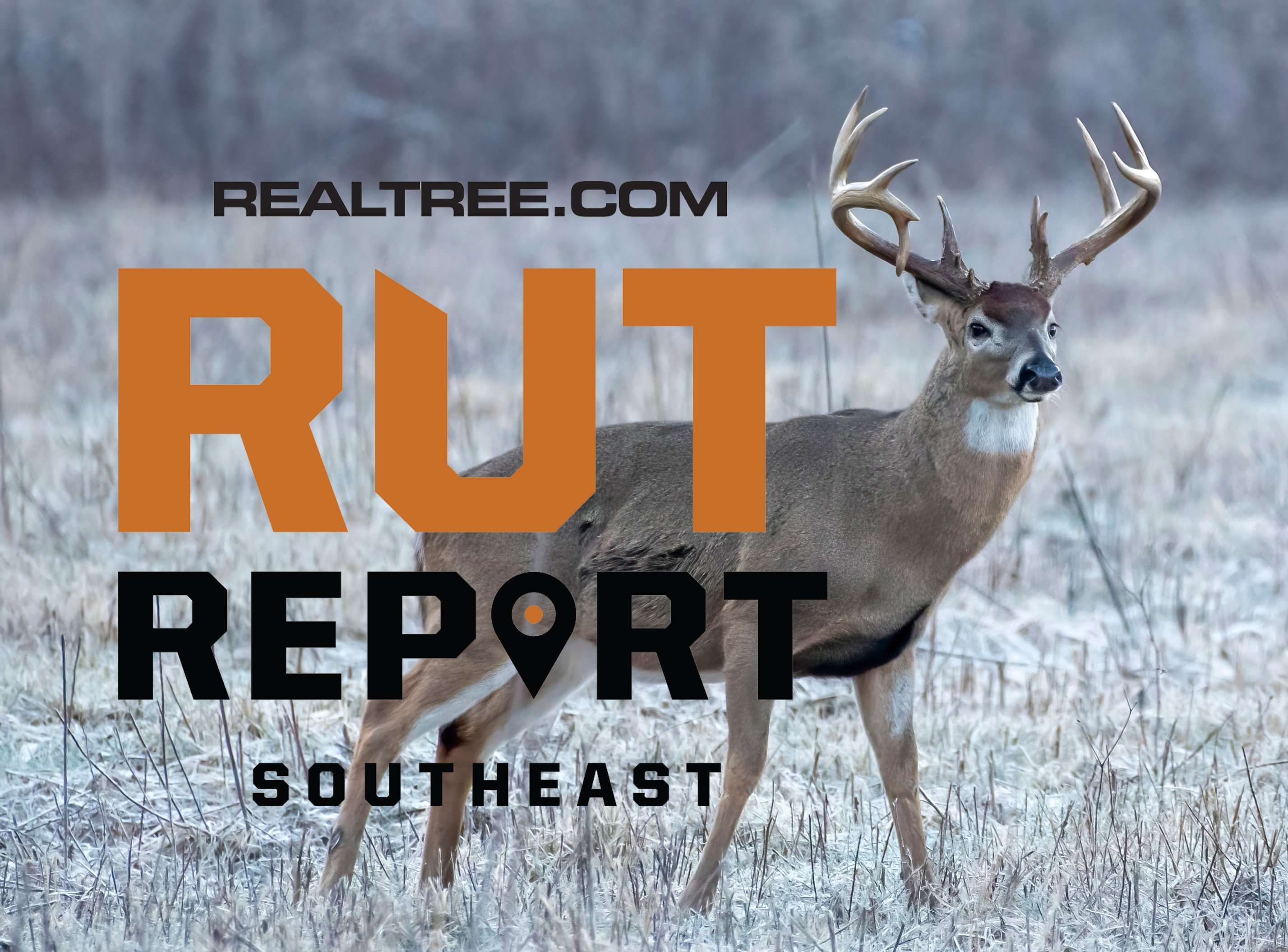 Secondary Rut Signs in Upper South - Realtree Camo