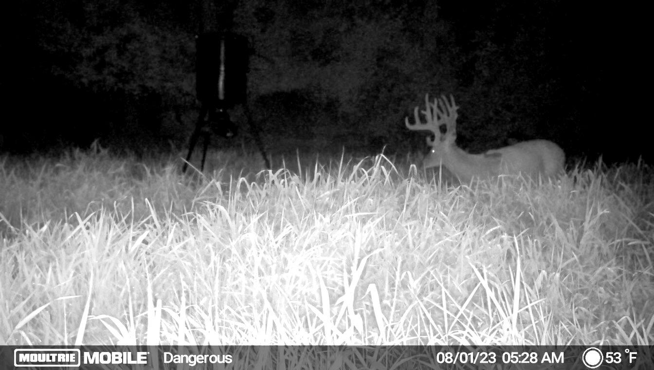 Image: ImageBy_Cory_Frank_rack_6