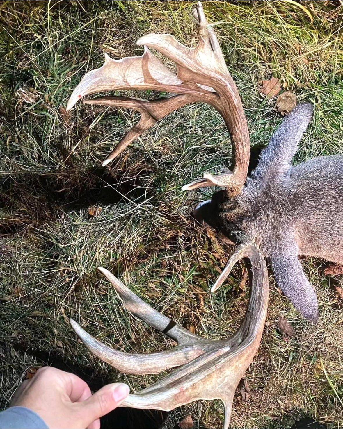 Image: ImageBy_Drew_Egli_rack_5