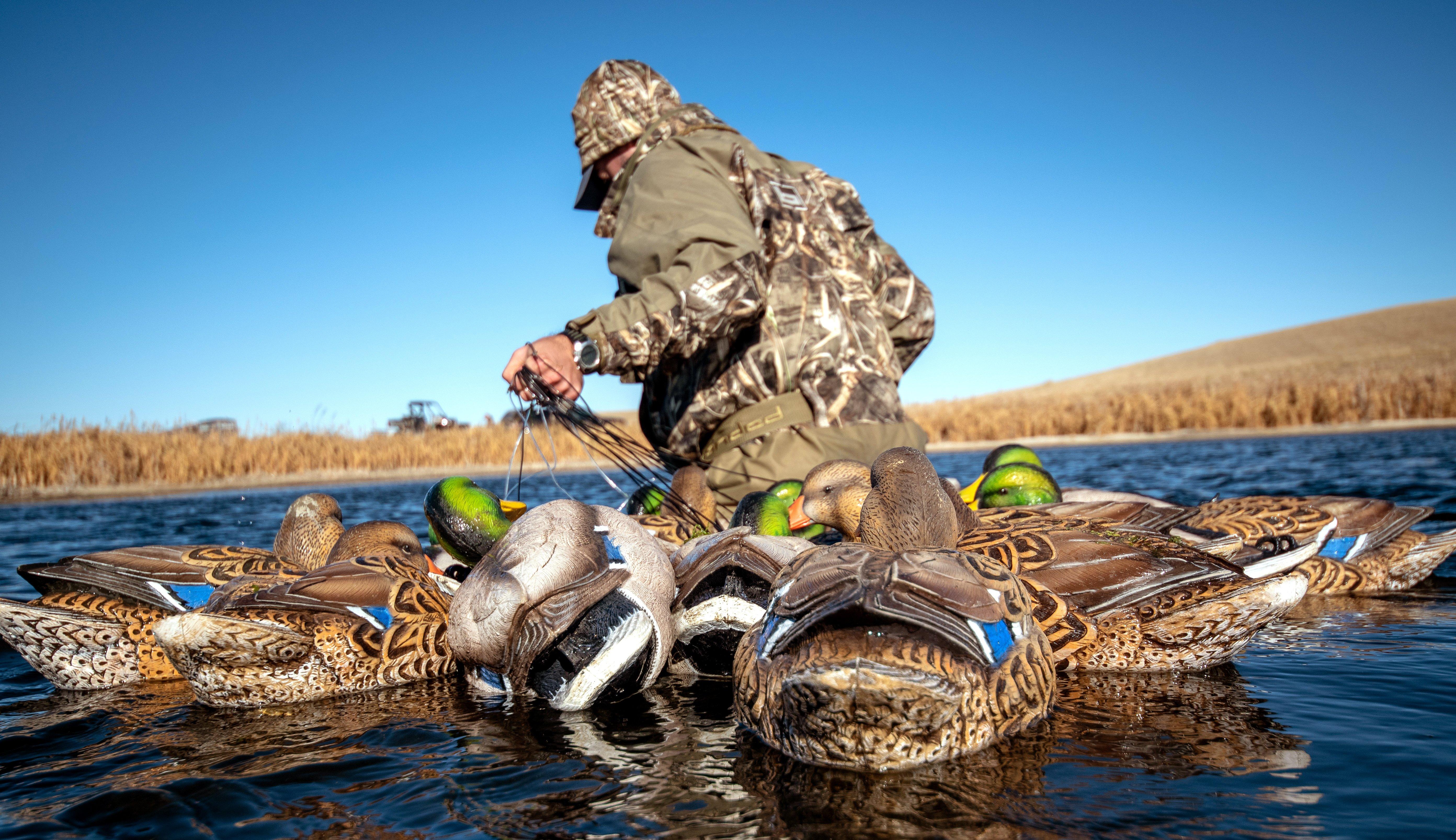 What Makes a Good Duck or Goose Decoy? - Realtree Camo