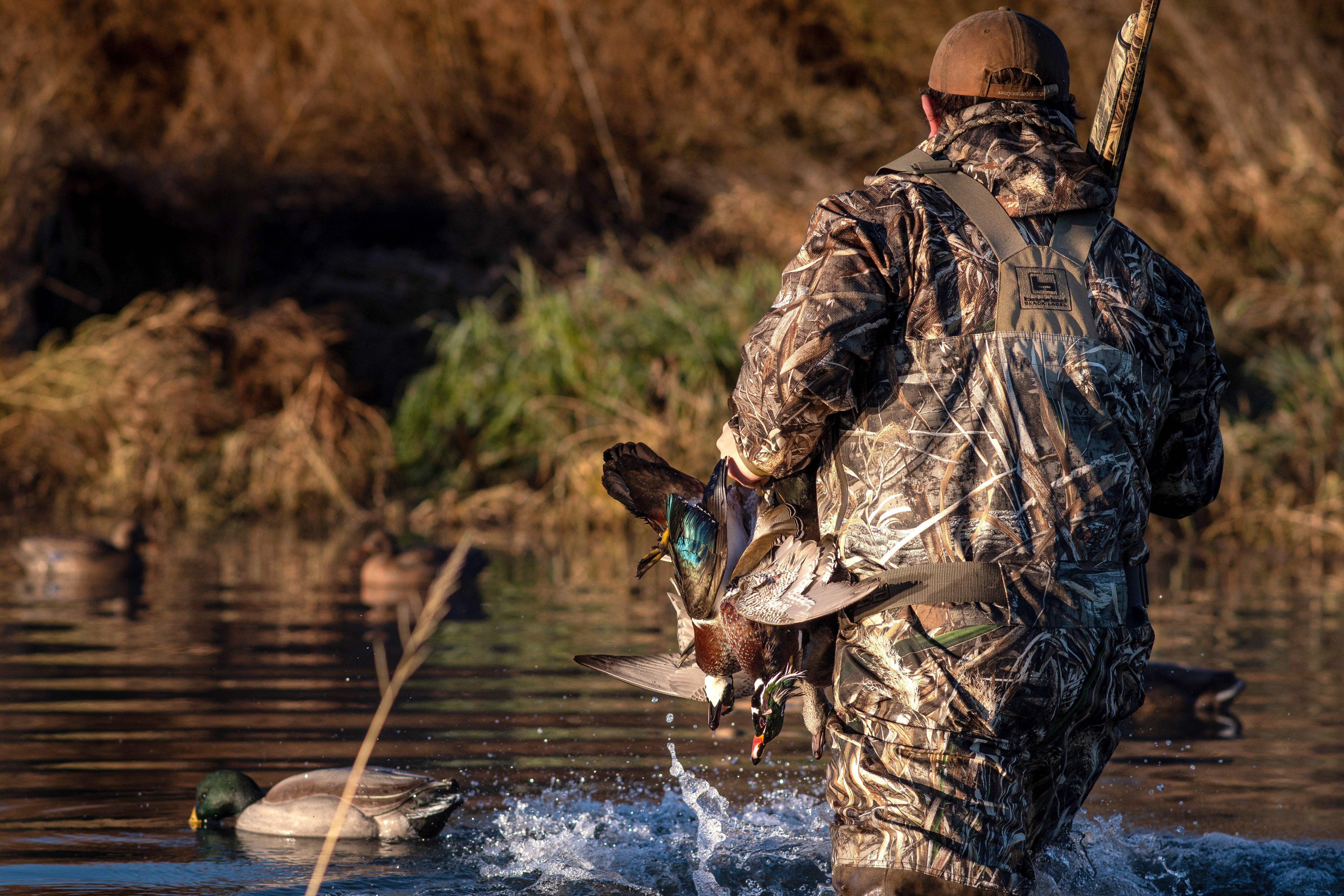 Image: ImageBy_Forrest_Carpenter_river