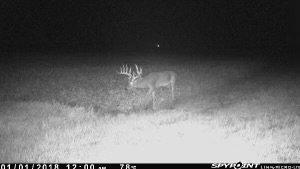 Image: ImageBy_Hunter_Brandon_rack_4