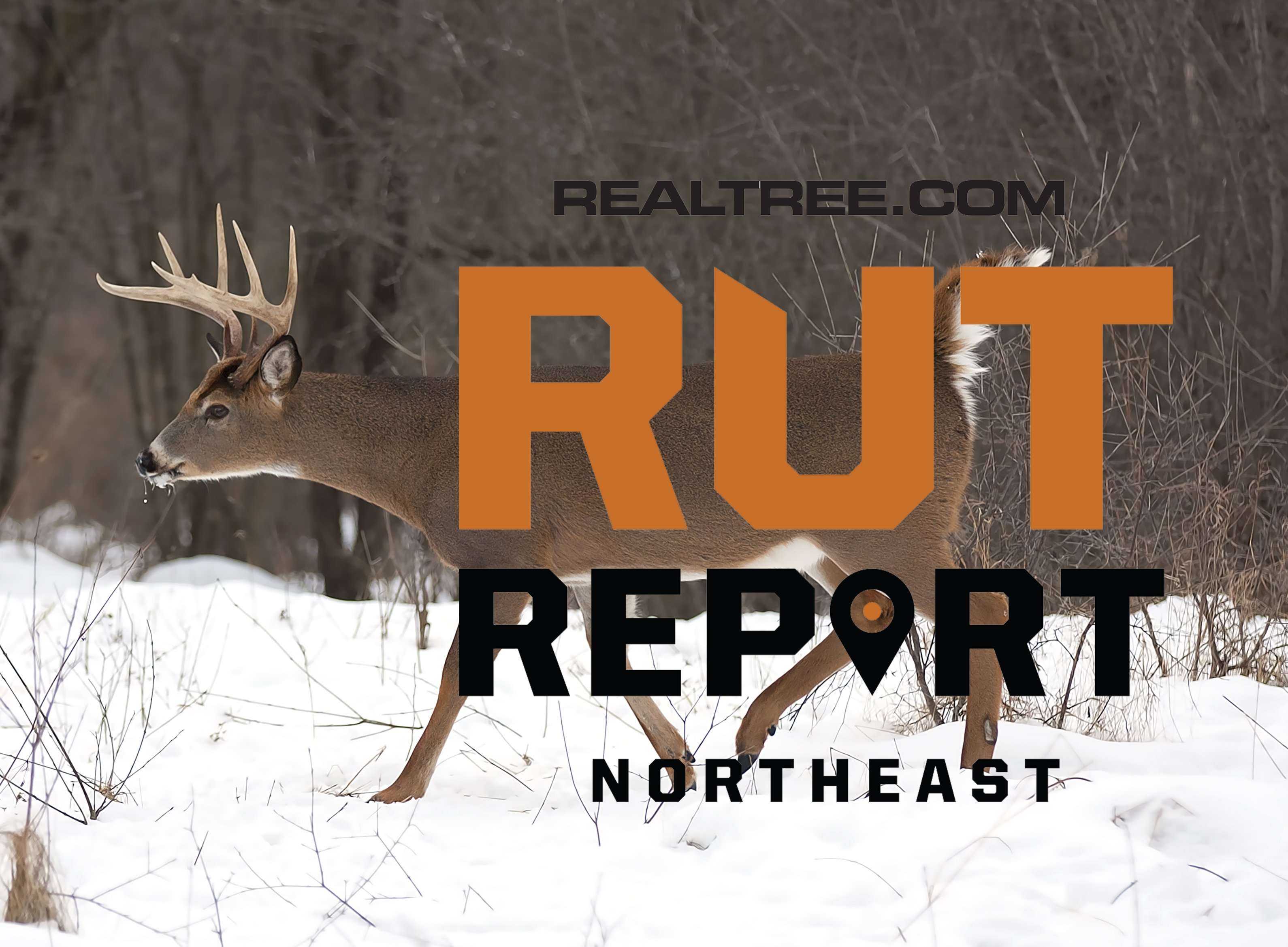 Signs of a Second Rut in the Northeast - Realtree Camo