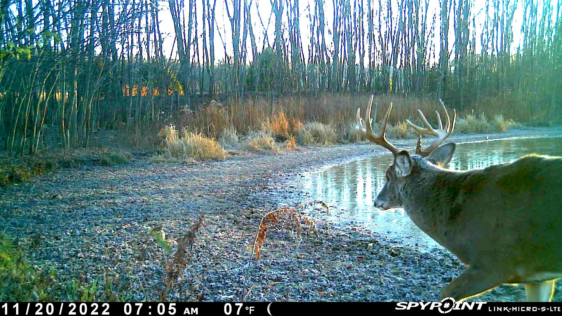 Heads of State: All About State-Record Bucks - Realtree Camo