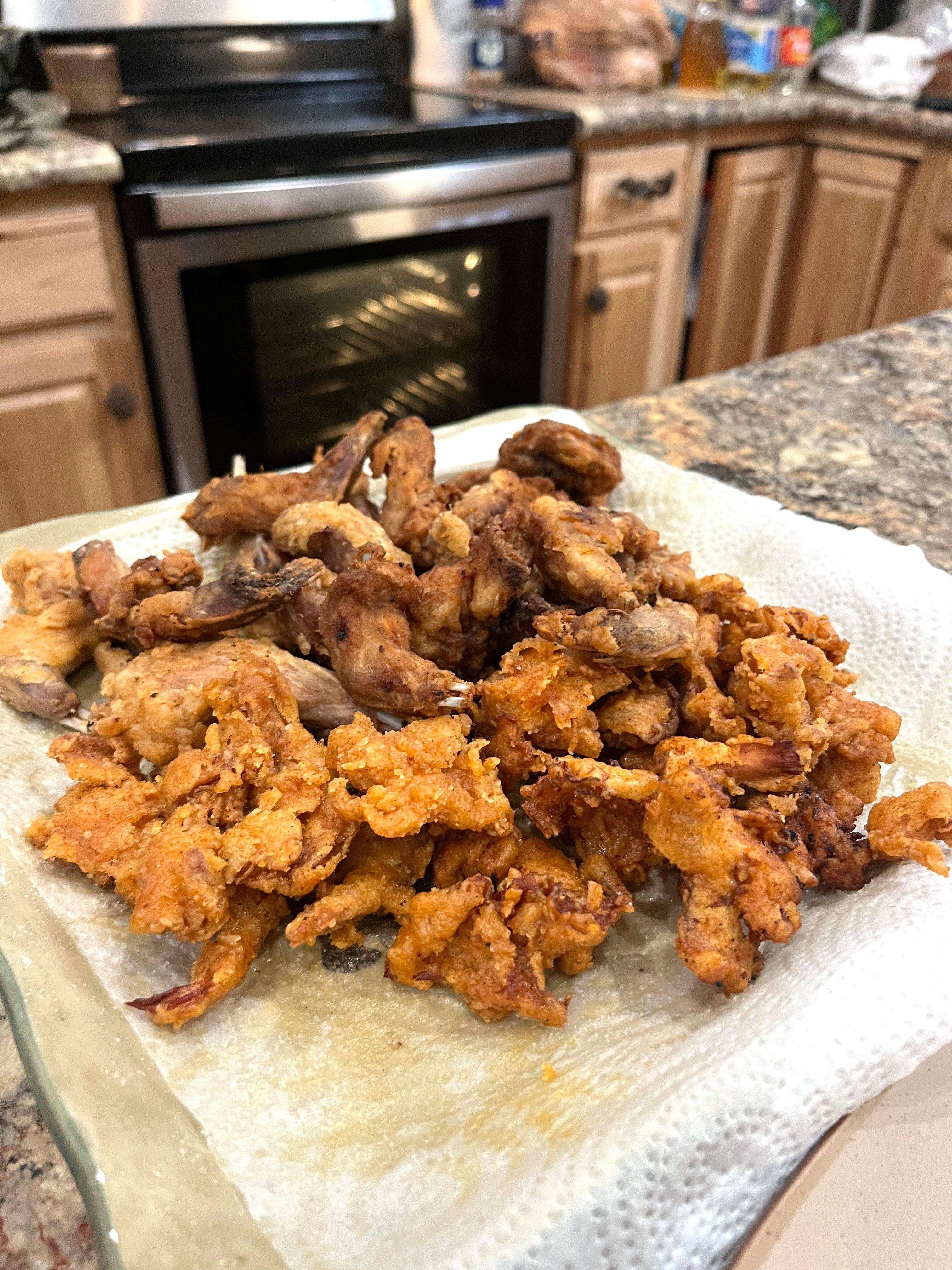 Image: ImageBy_Josh_Honeycutt_squirrel_10