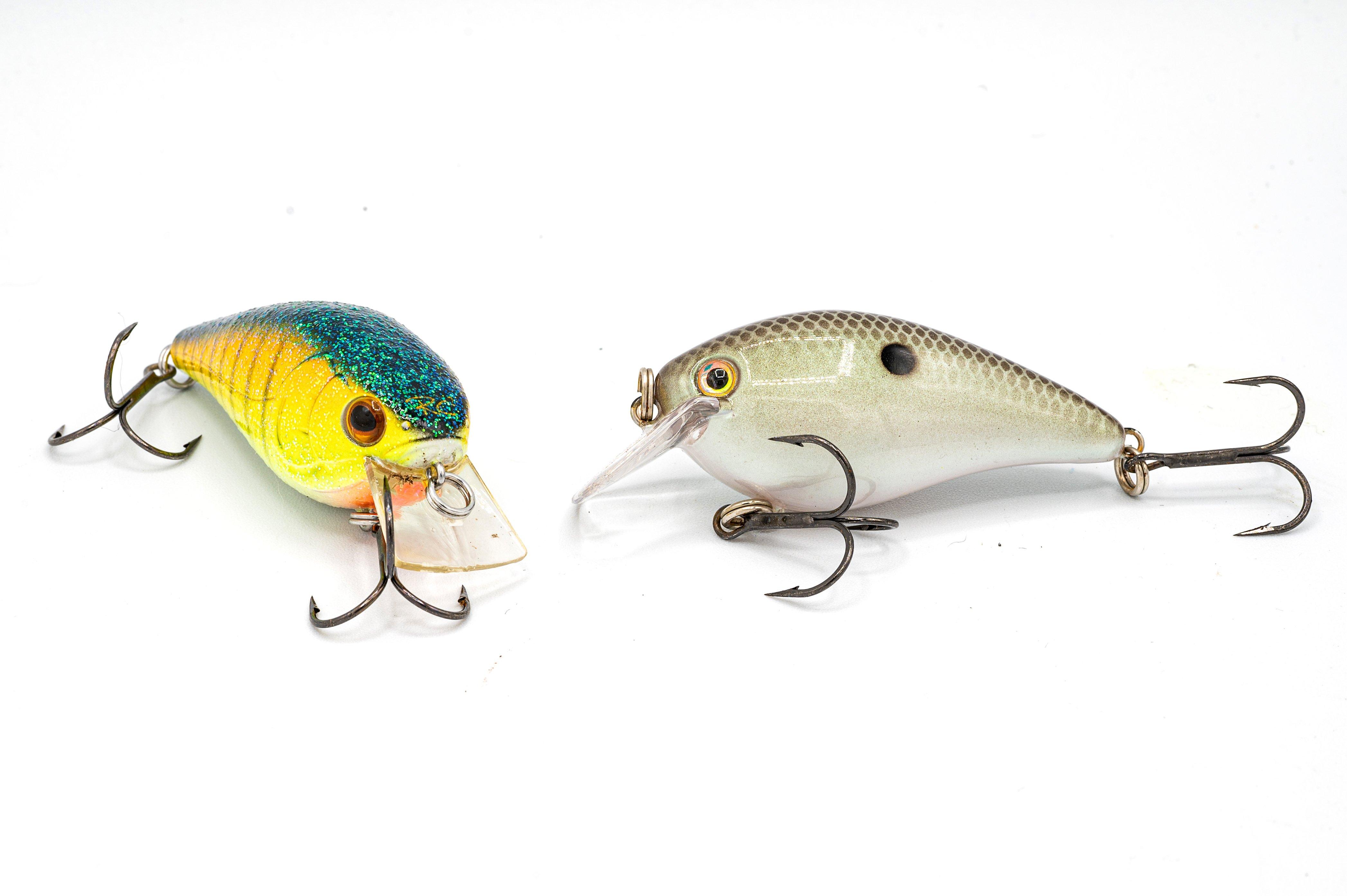 3-Step Guide to Spring Crankbait Fishing - Realtree Camo