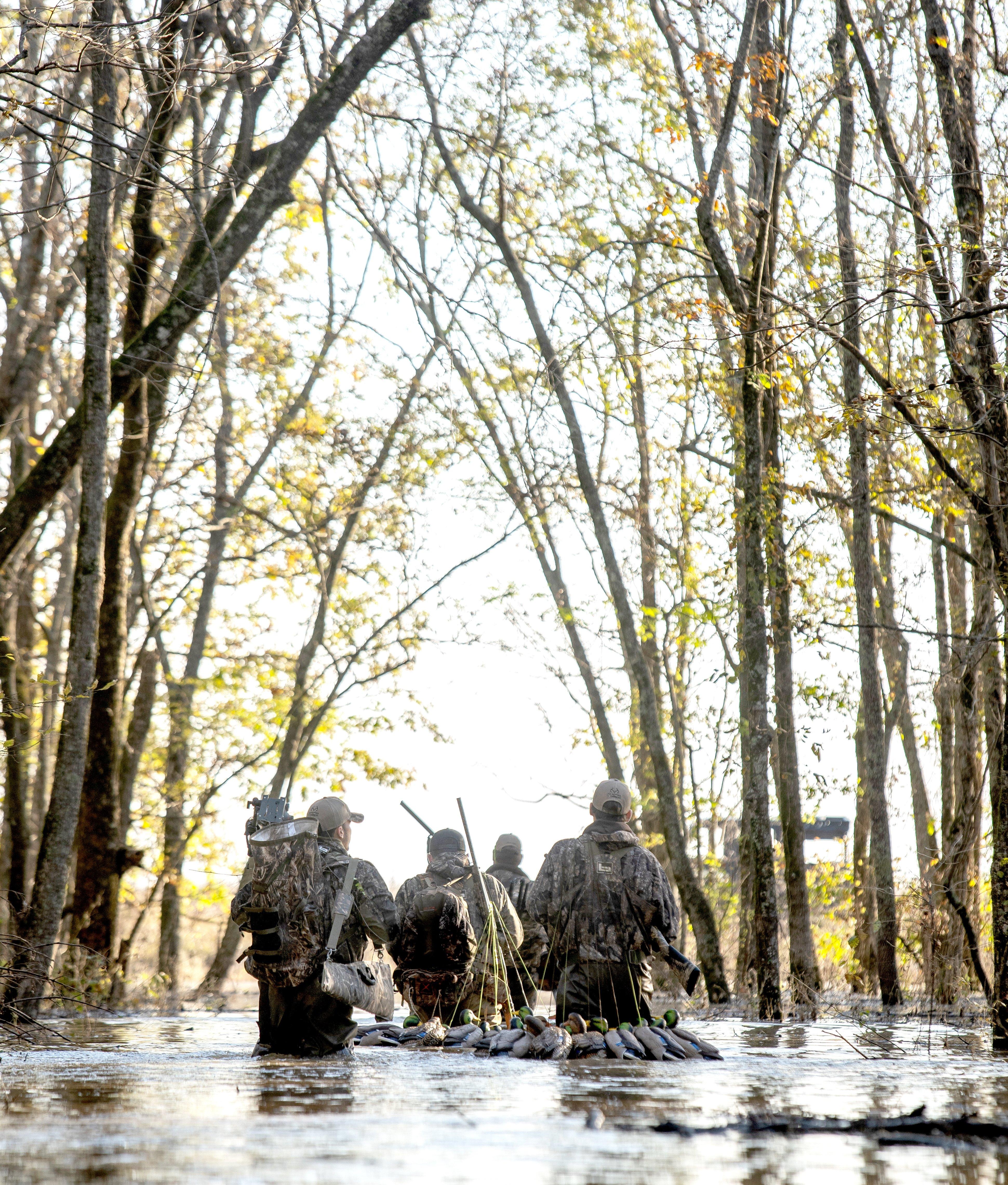 Image: ImageBy_Phil_Kahnke_opener