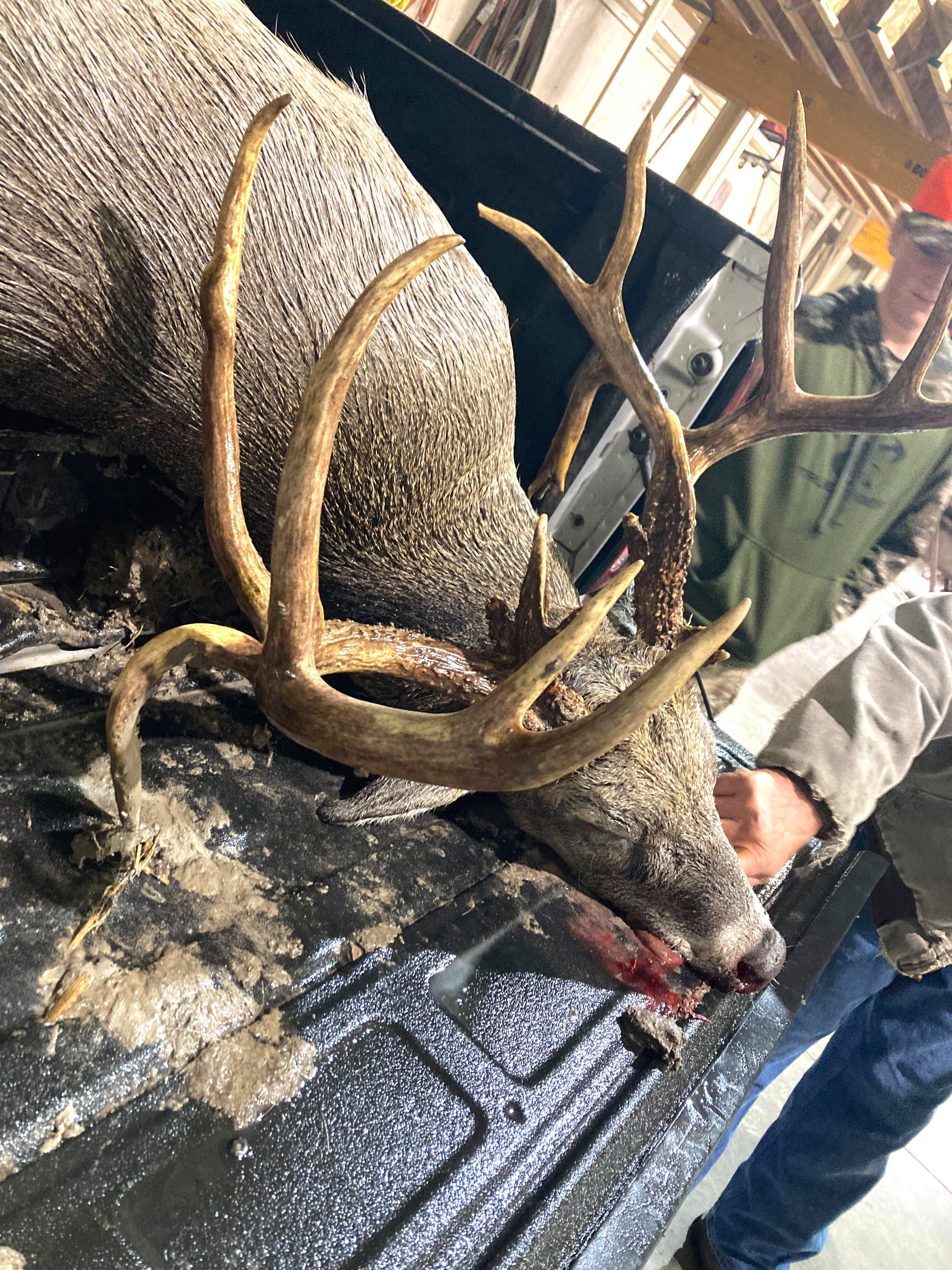 Image: ImageBy_Preston_Burger_rack_1