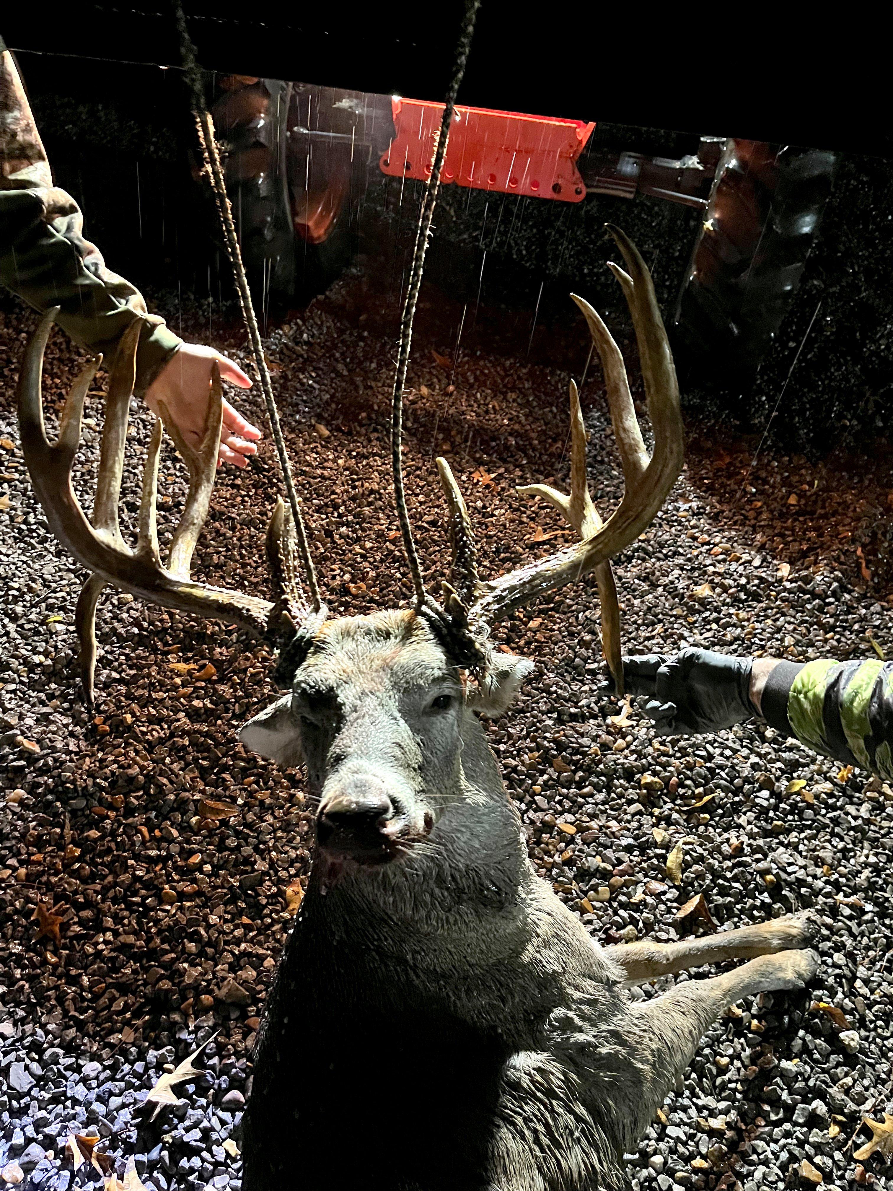 Image: ImageBy_Preston_Burger_rack_3