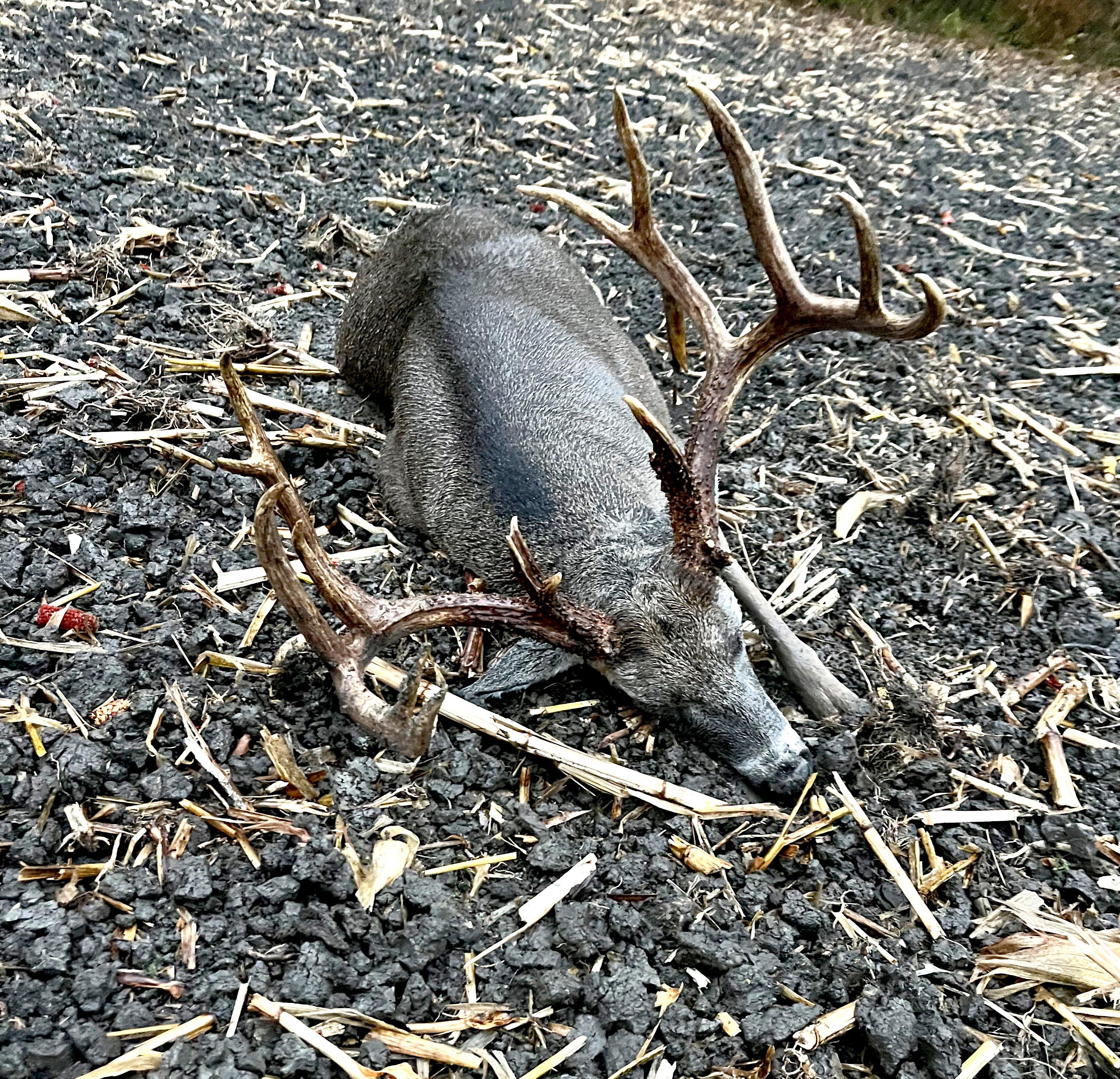 Image: ImageBy_Preston_Burger_rack_6