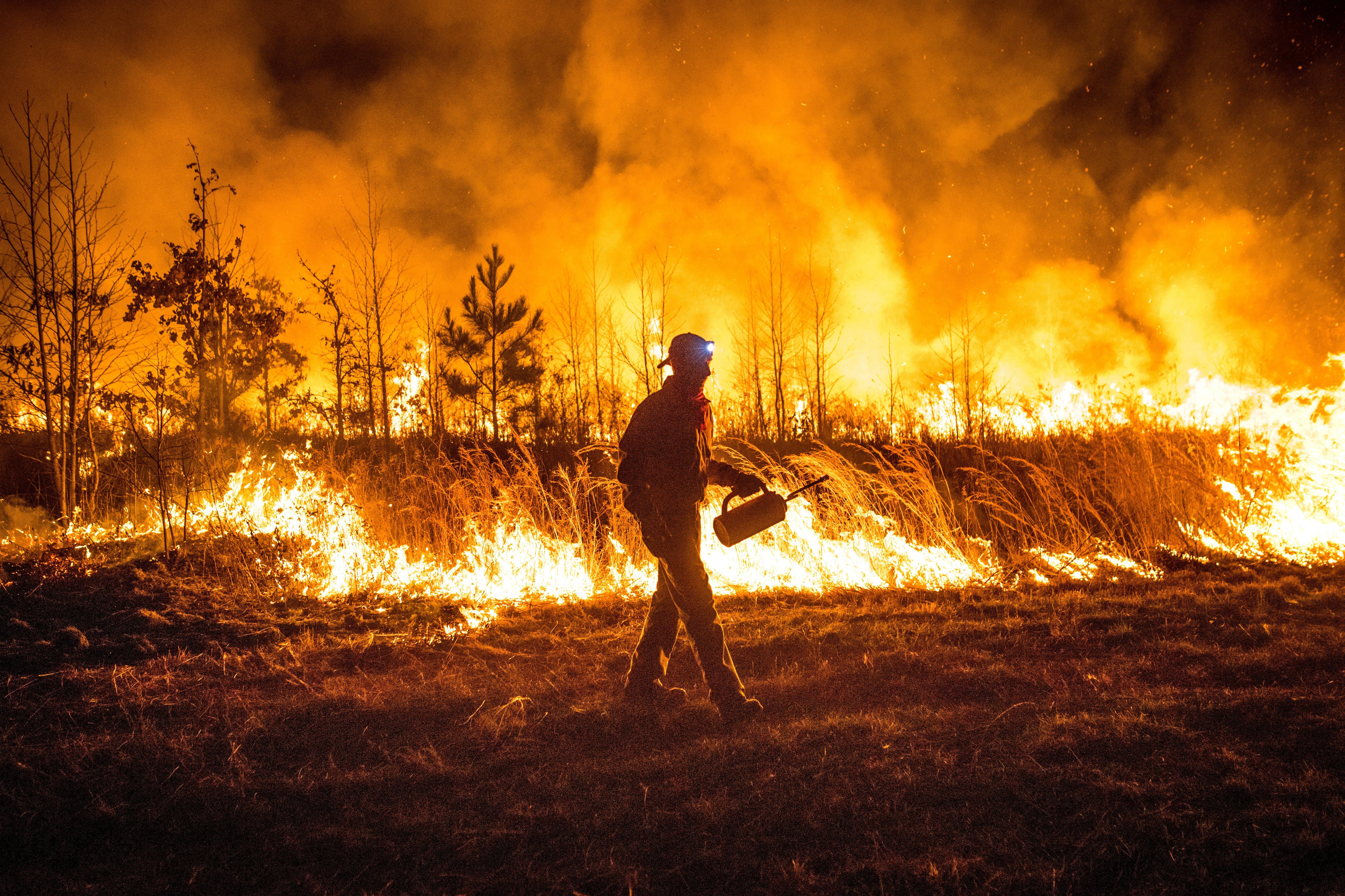 Image: ImageBy_Realtree_Media_Early_Successional_Habitat_9