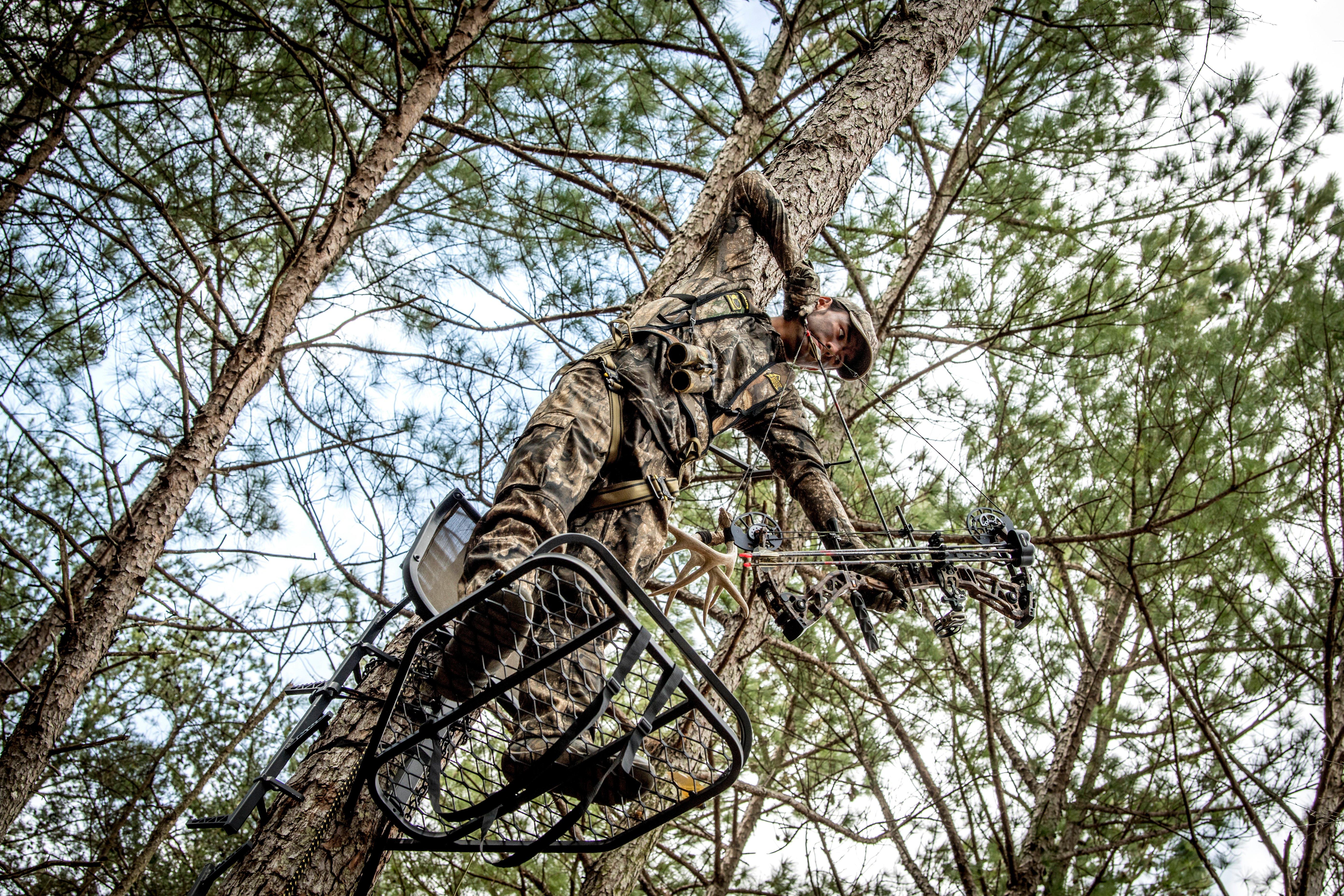 Image: ImageBy_Realtree_Media_south_deer_1