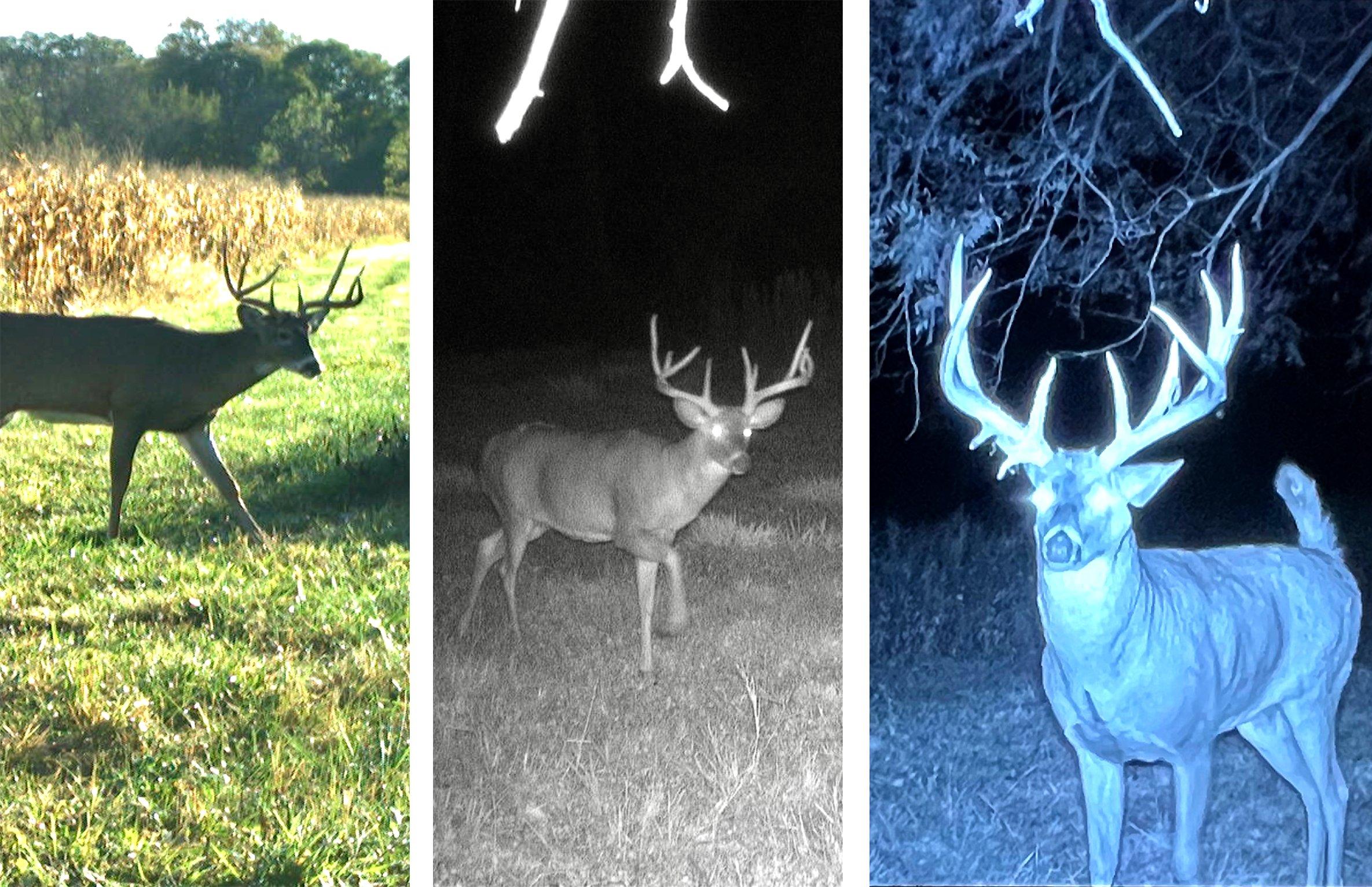 A Monster Muzzleloader Buck From Iowa Realtree Camo