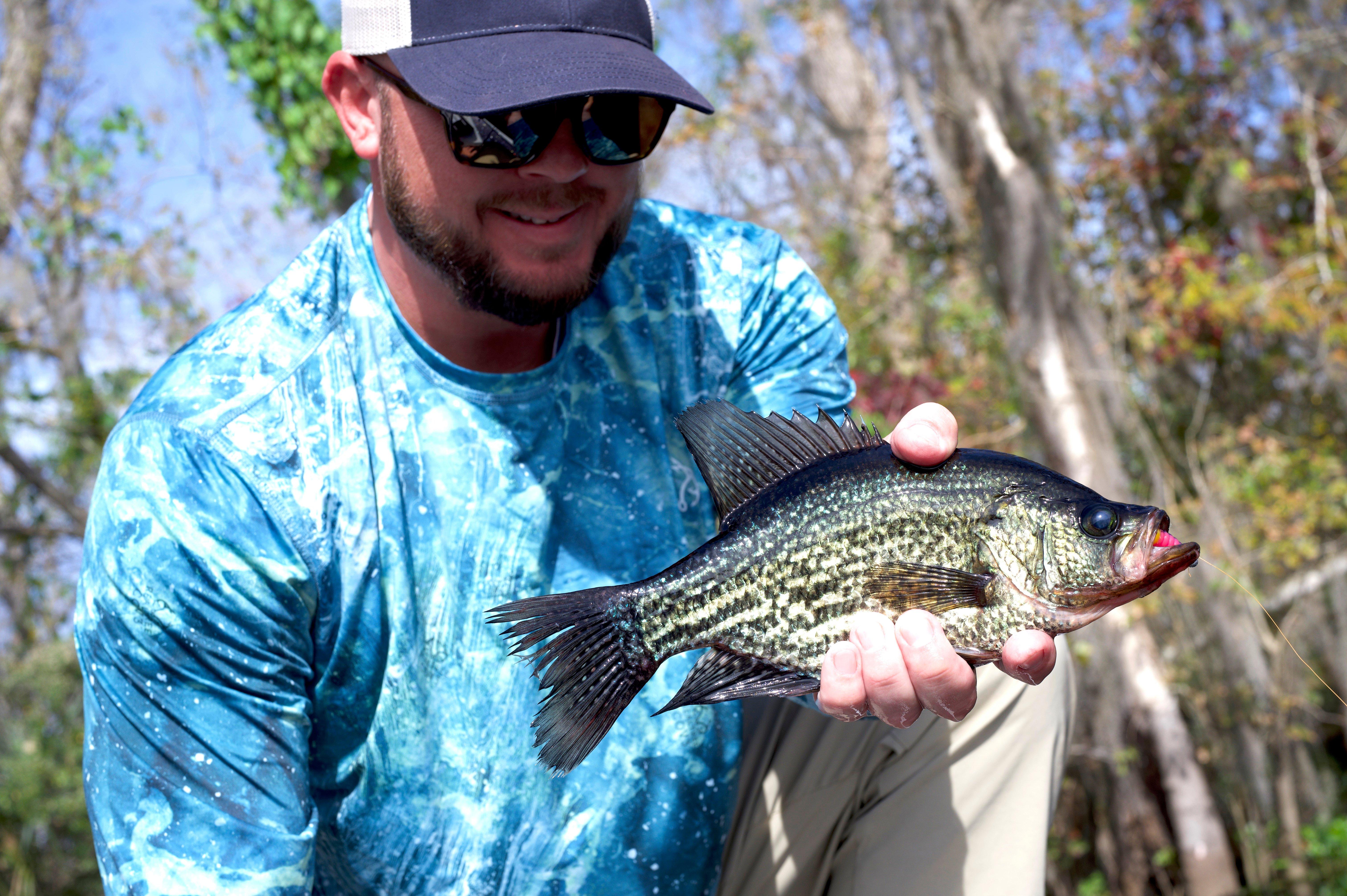 Image: ImageBy_St_Johns_River_crappie