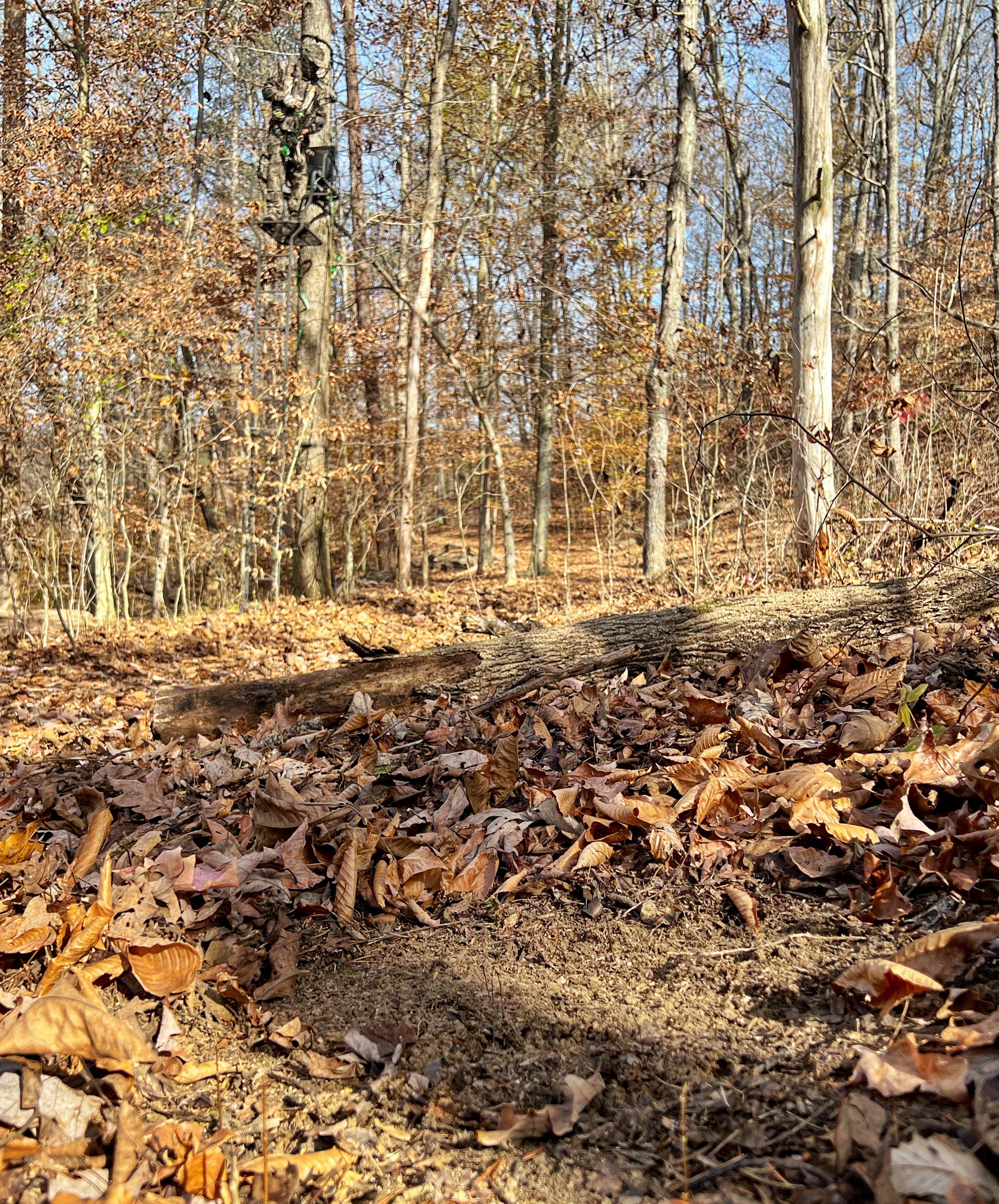 Image: ImageBy_Stacy_Konway_scrape_2