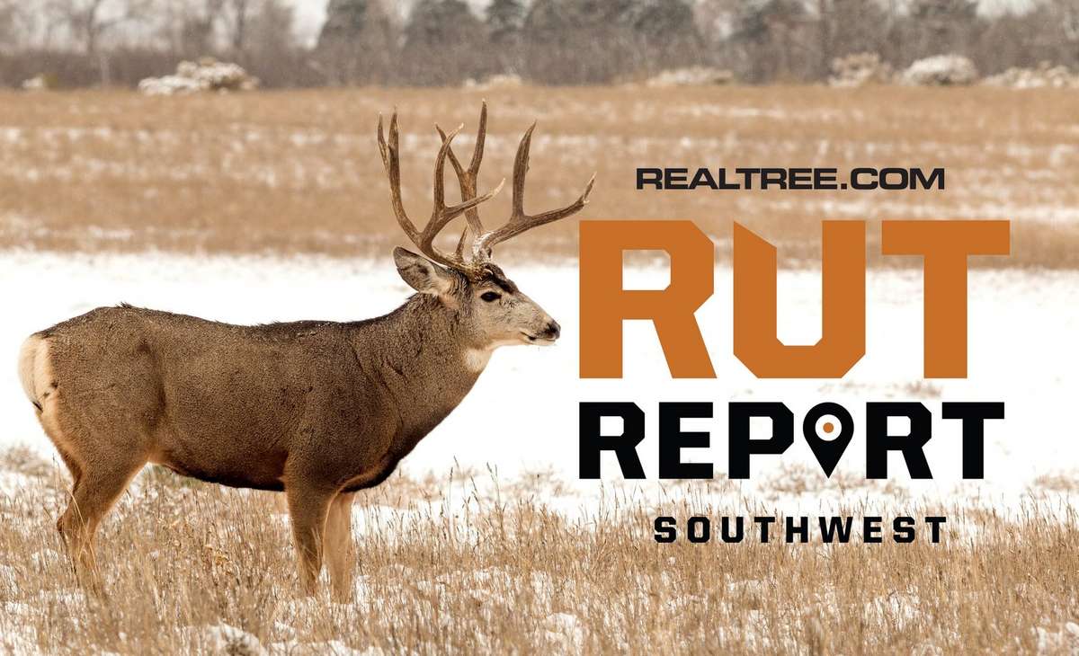 Rut Reports May be Ending, but the Rut is Not Over - Realtree Camo