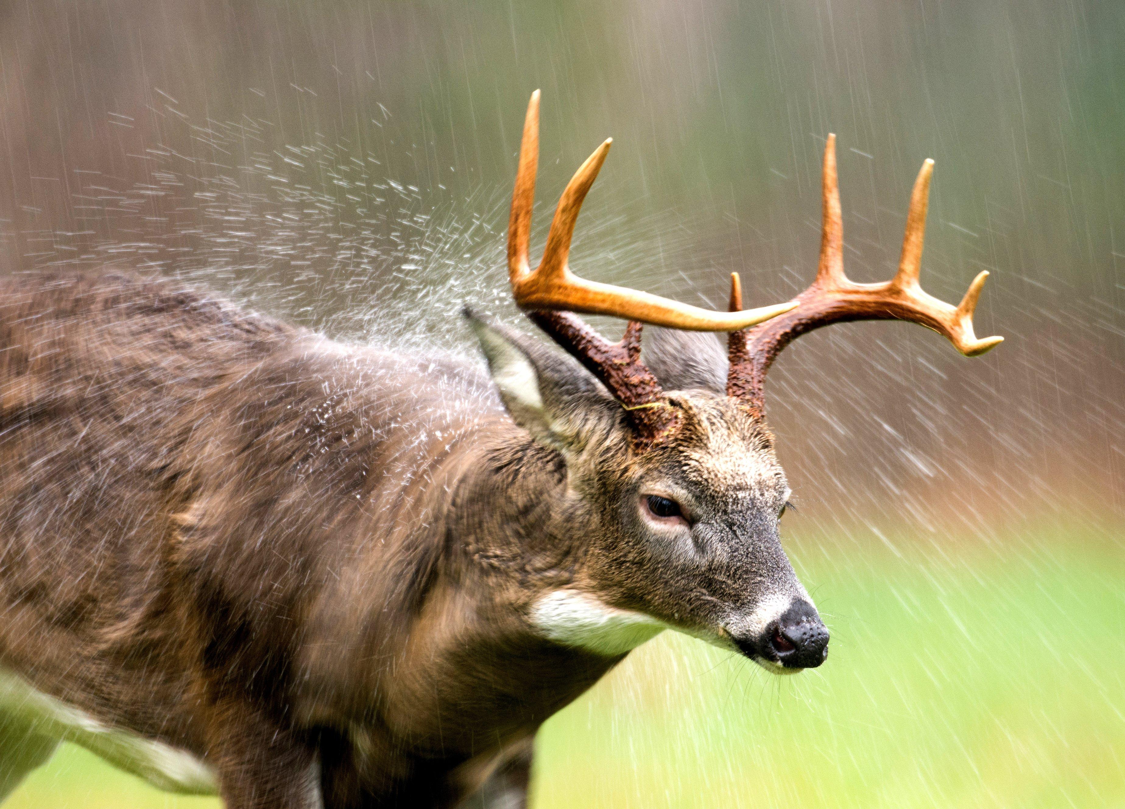 Don't Kid Yourself: Weather and Moon Matter for Deer Hunting - Realtree Camo