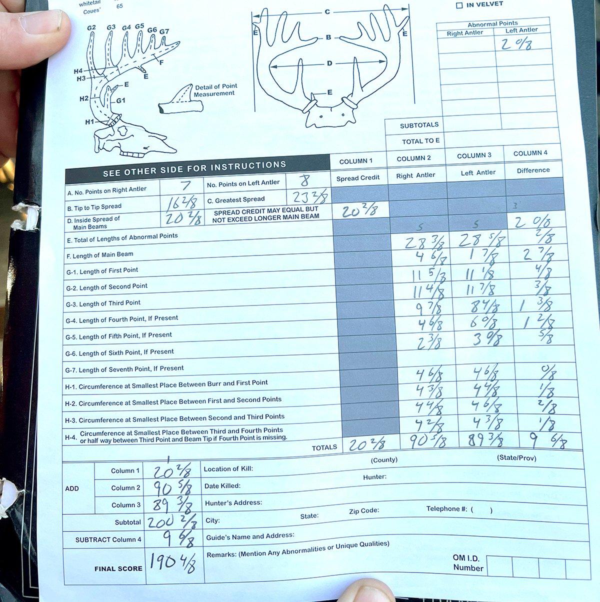 Would've Been a Record Giant Kentucky Typical Lost in Attic for 55