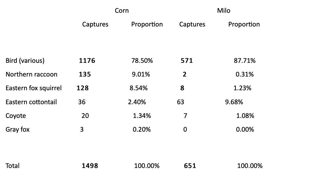 Image: Milo-vs-Corn-nontarget-chart-Image-by-Okalahoma-State-University
