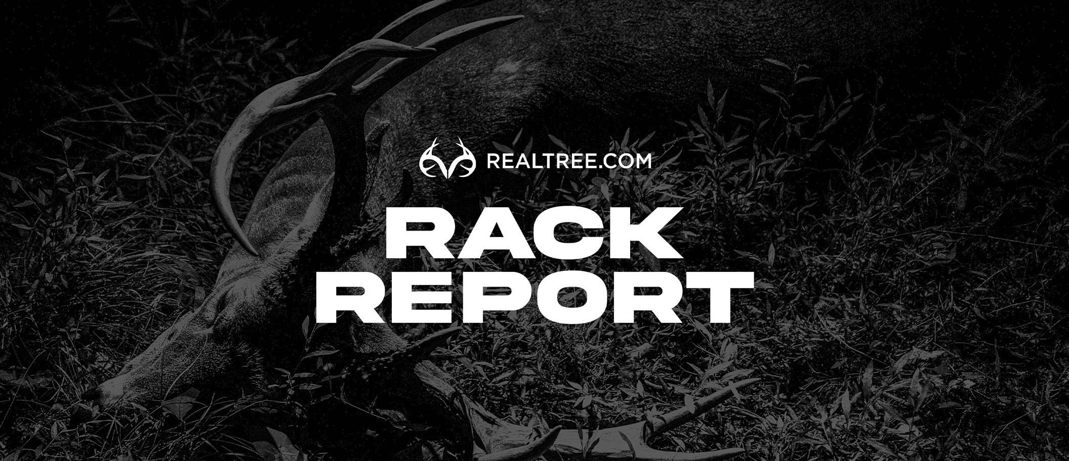 DeerHunting - Rack Reports