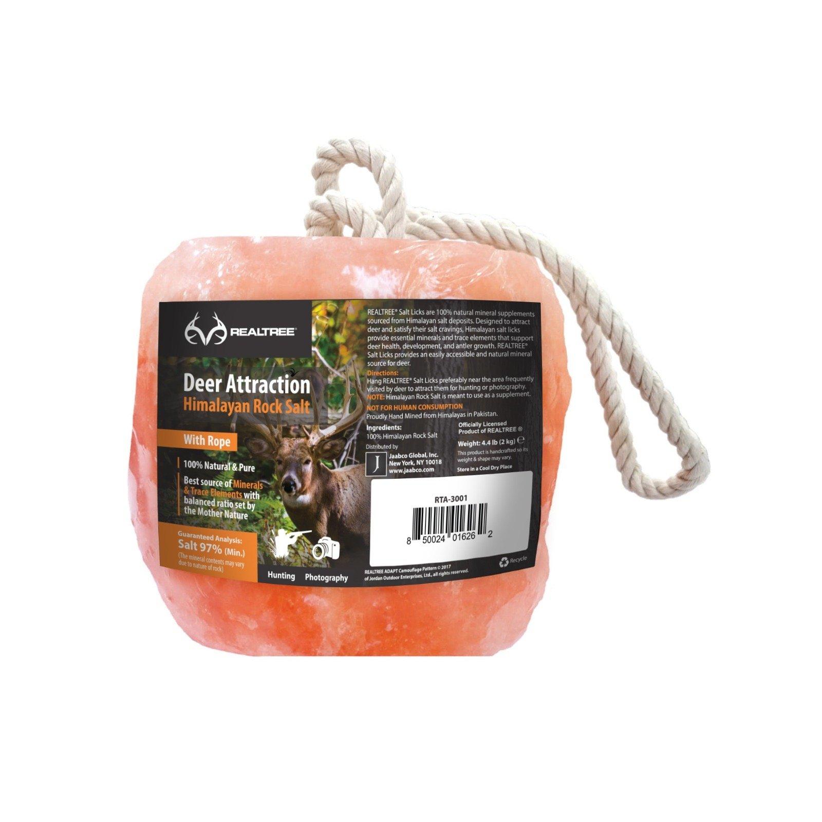 Image: Saltean-deer