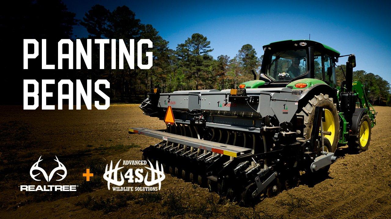 Herbicides Every Food Plotter Should Know - Realtree Camo