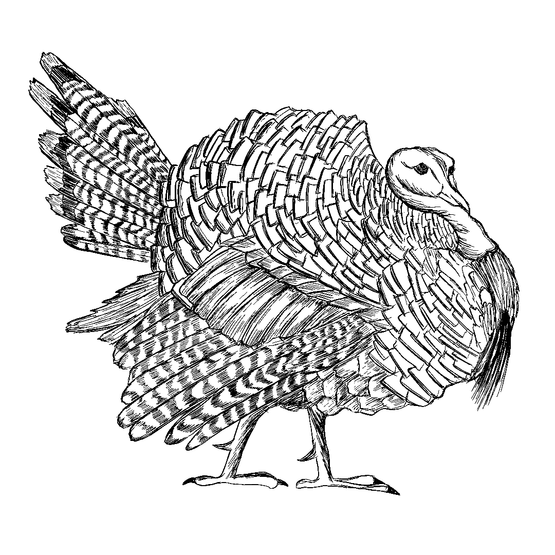 Image - Coloring Page 7