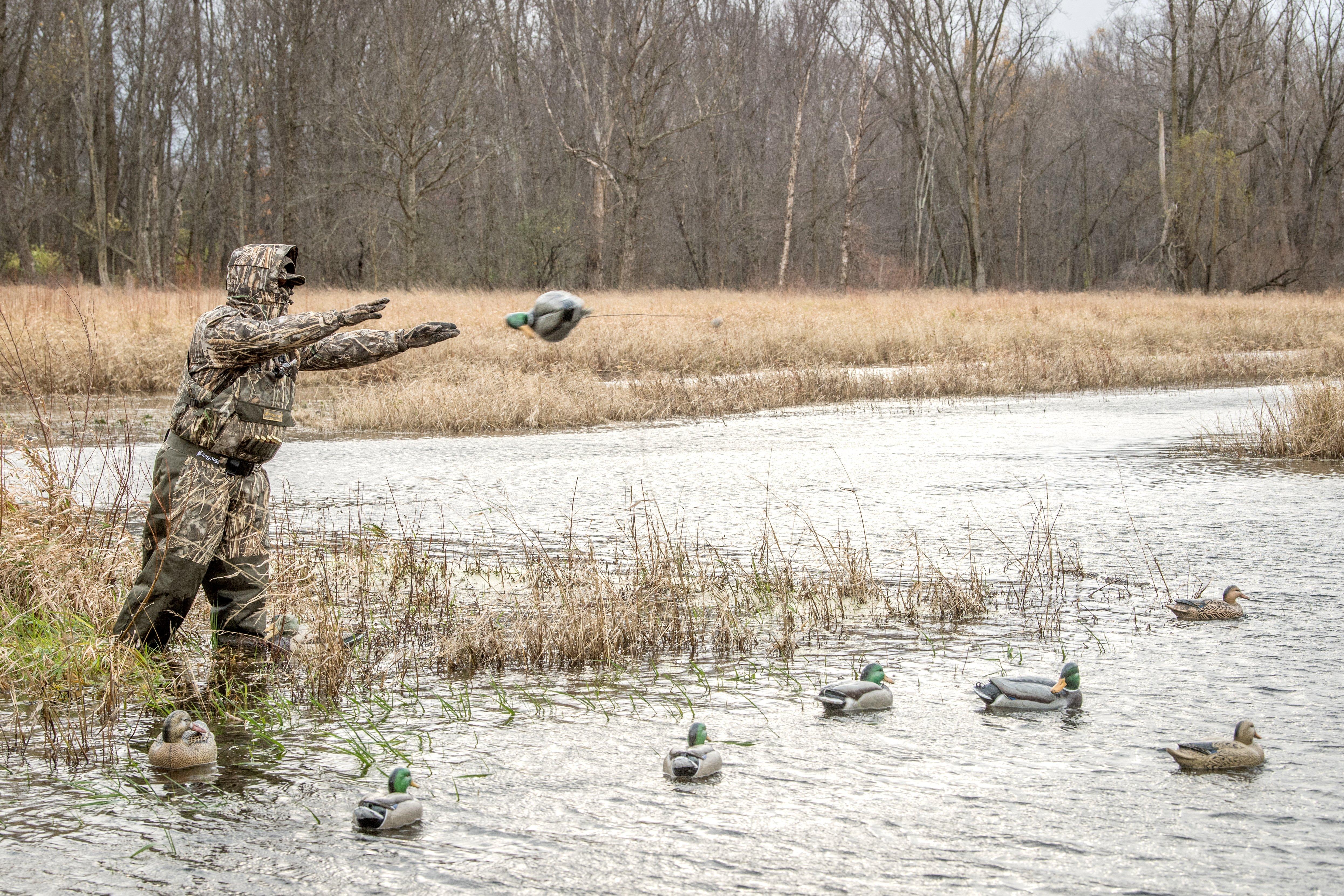 Image: afternoon_hunt