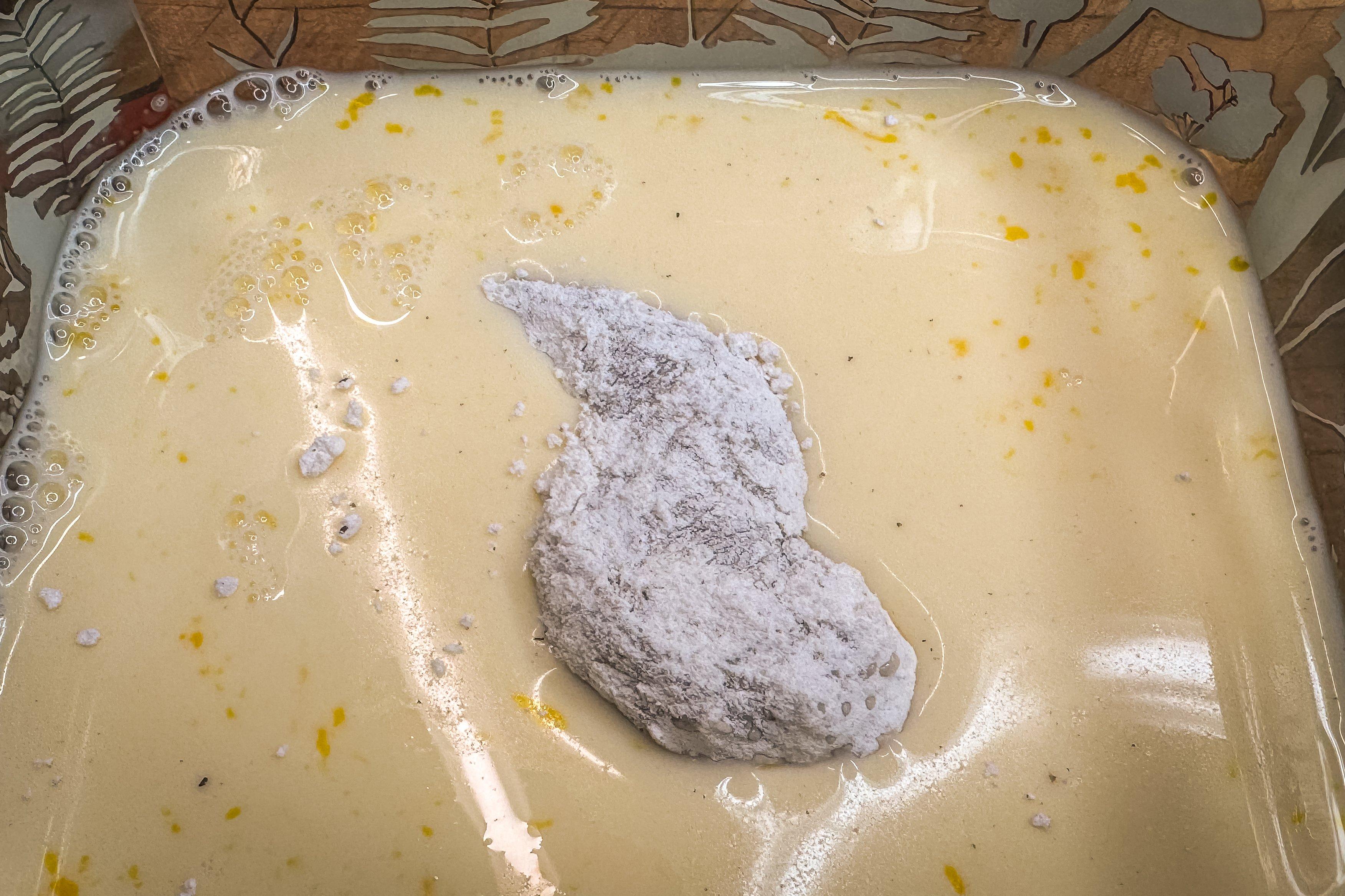 Image: airfryer_squirrel_3