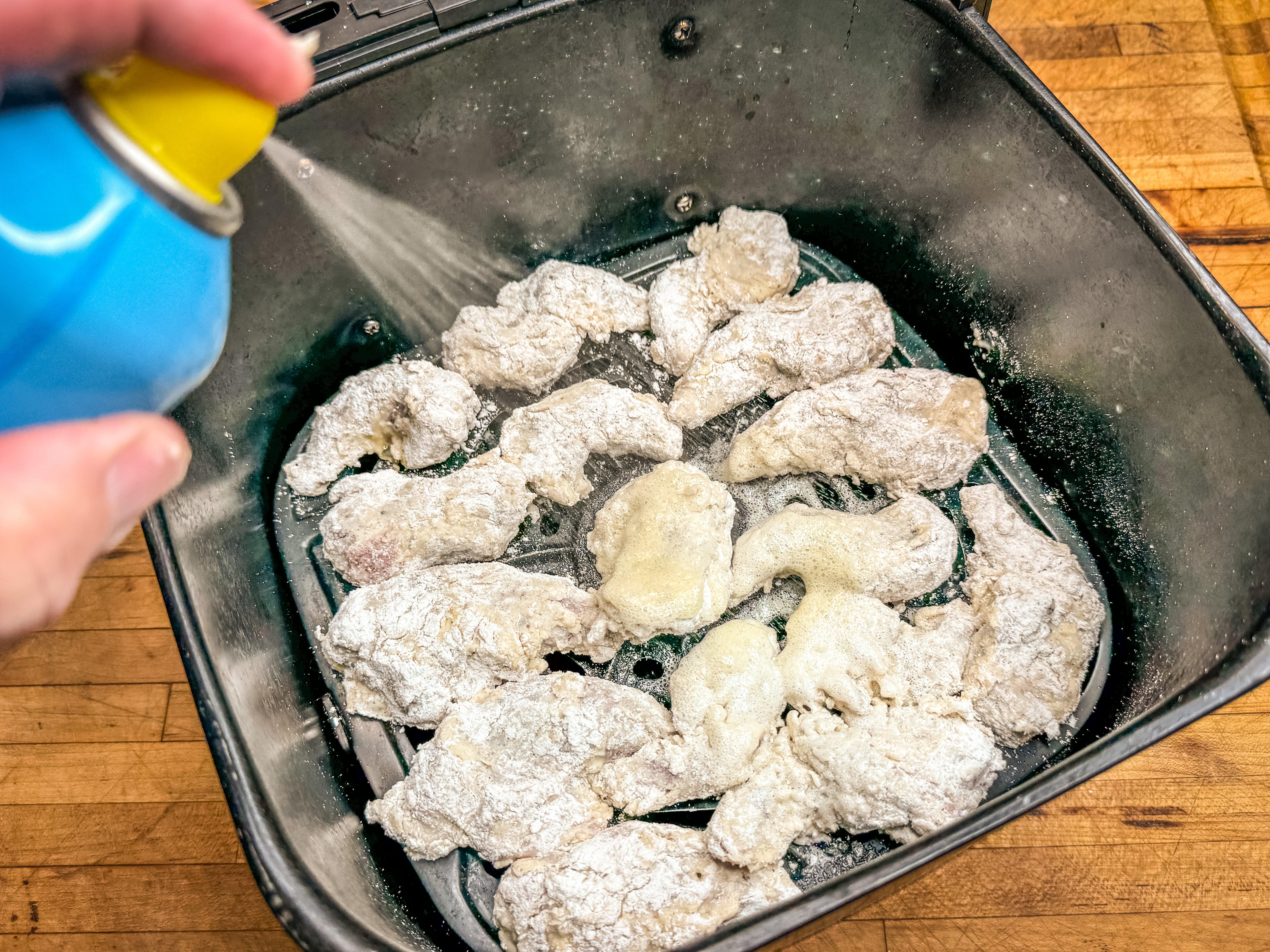 Image: airfryer_squirrel_4