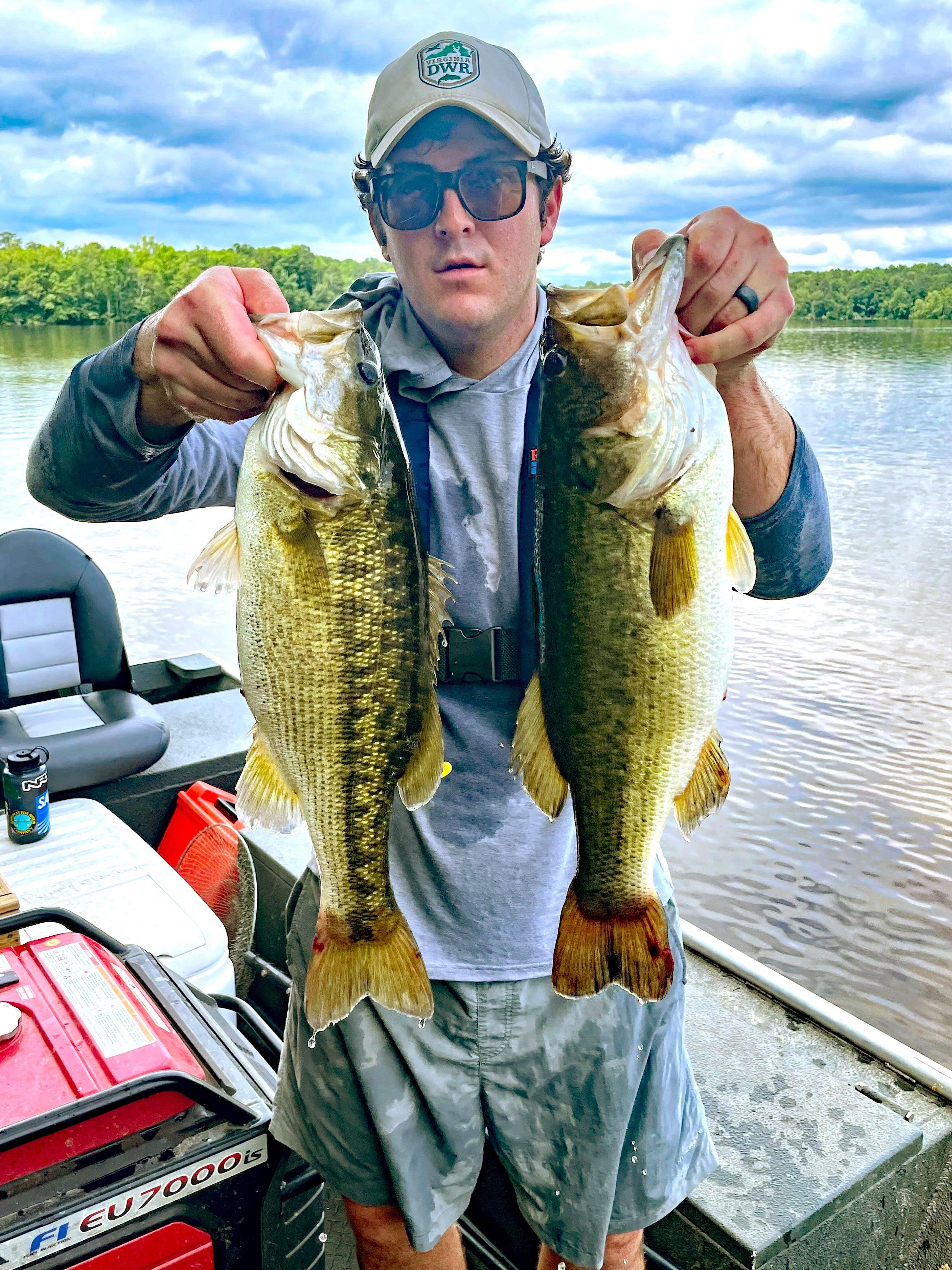 Image: al_spotted_bass_2