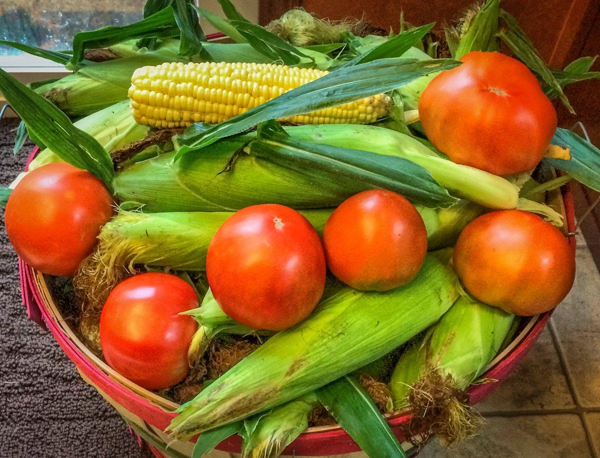 Tomatoes Are Tops for Summer Crops - Indiana Yard and Garden