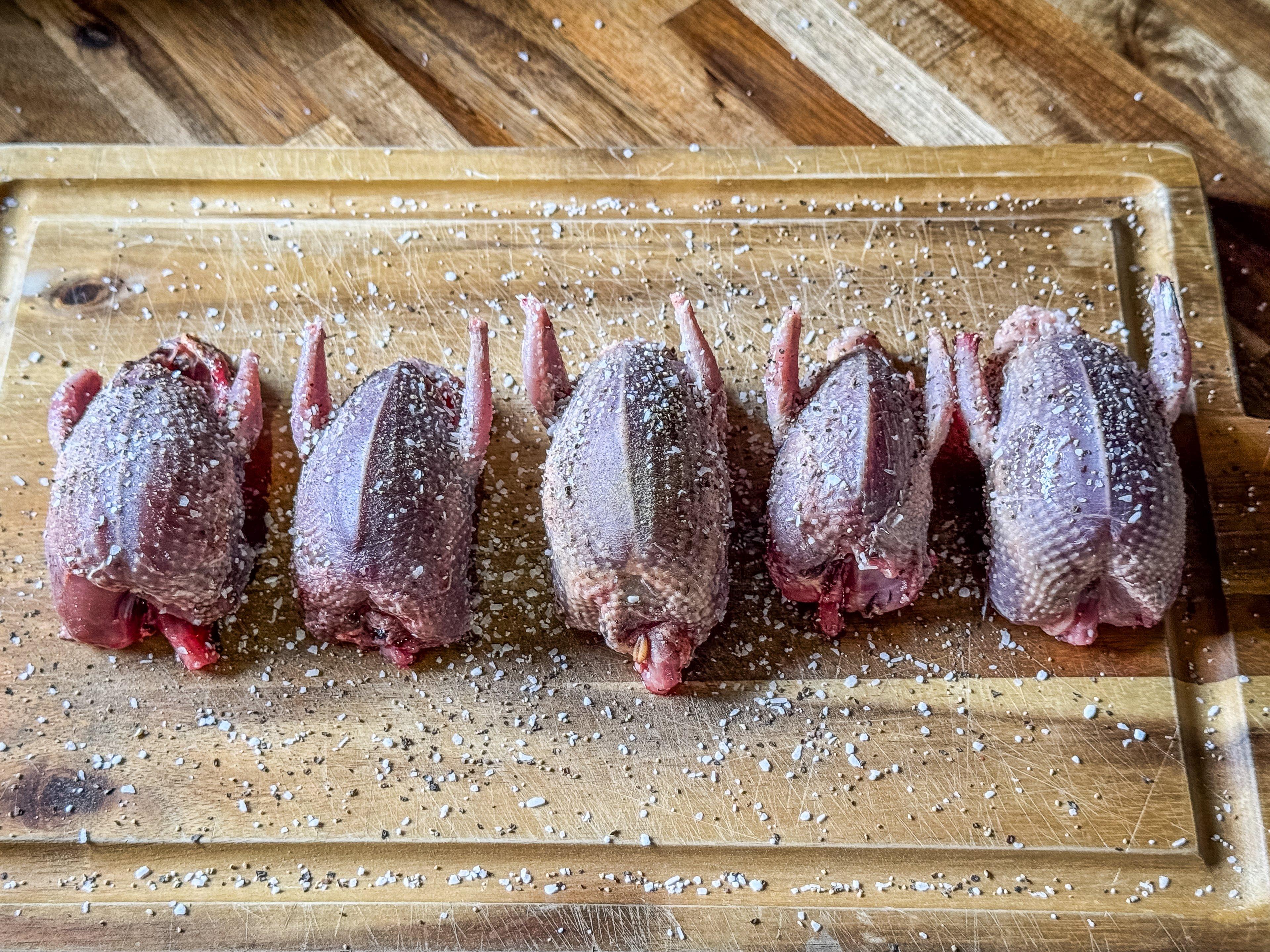 Image: apricot_dove_2