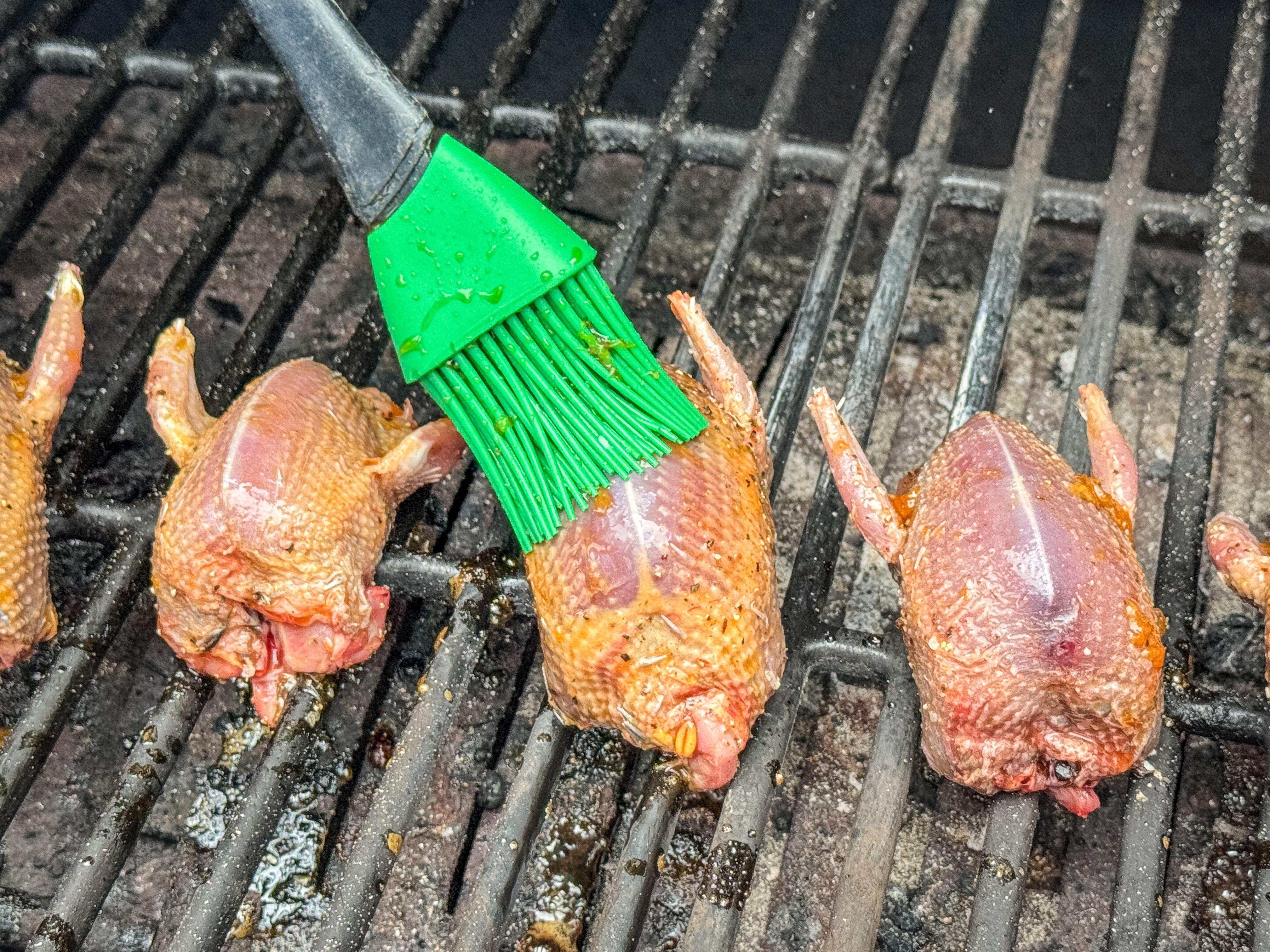 Image: apricot_dove_3