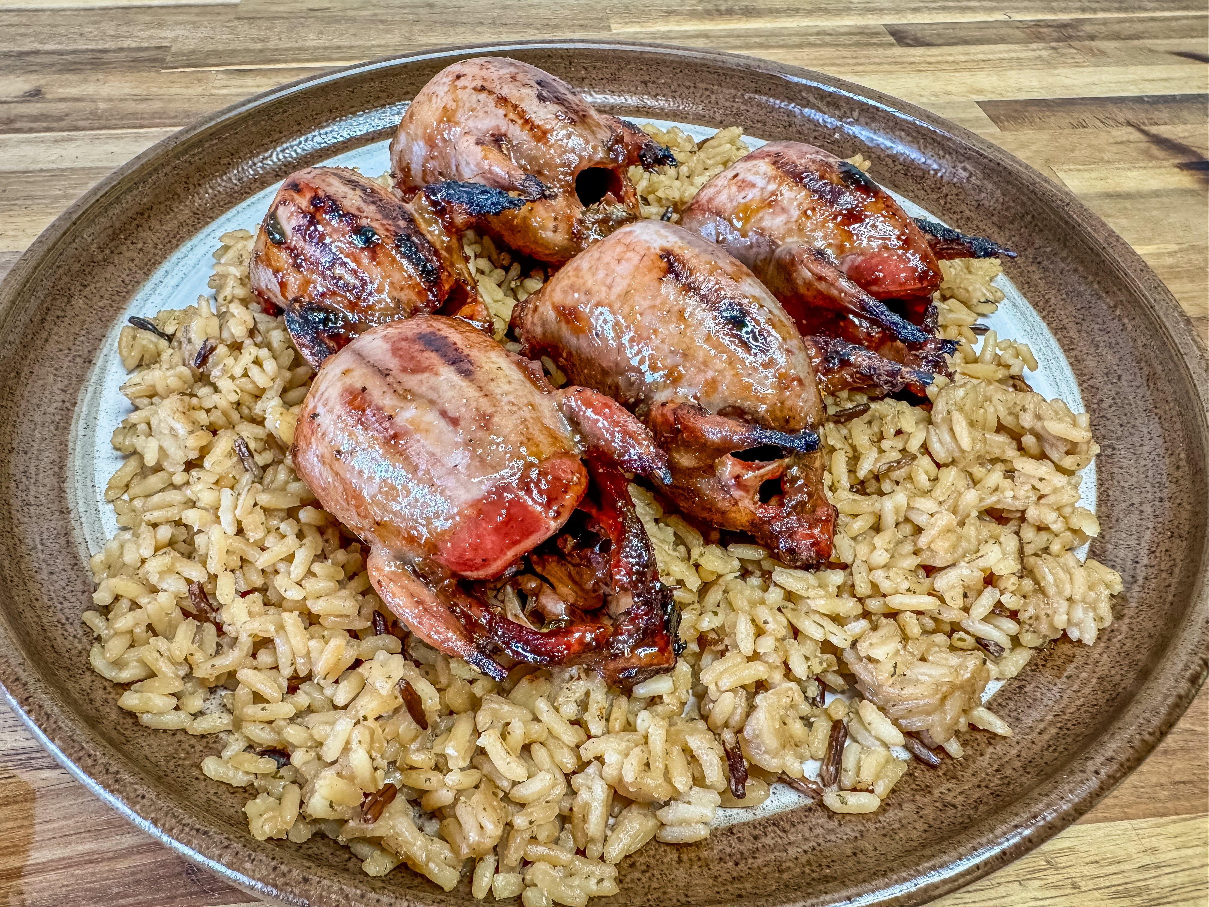 Image: apricot_dove_4