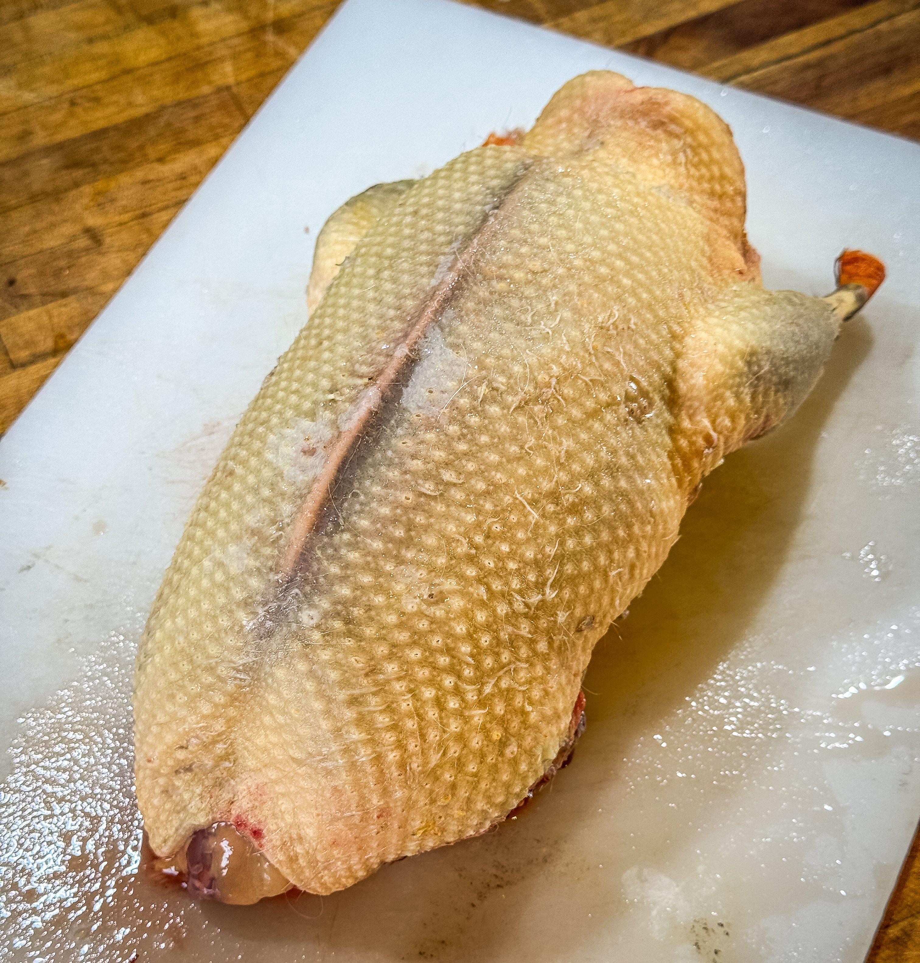 Image: apricot_duck_2