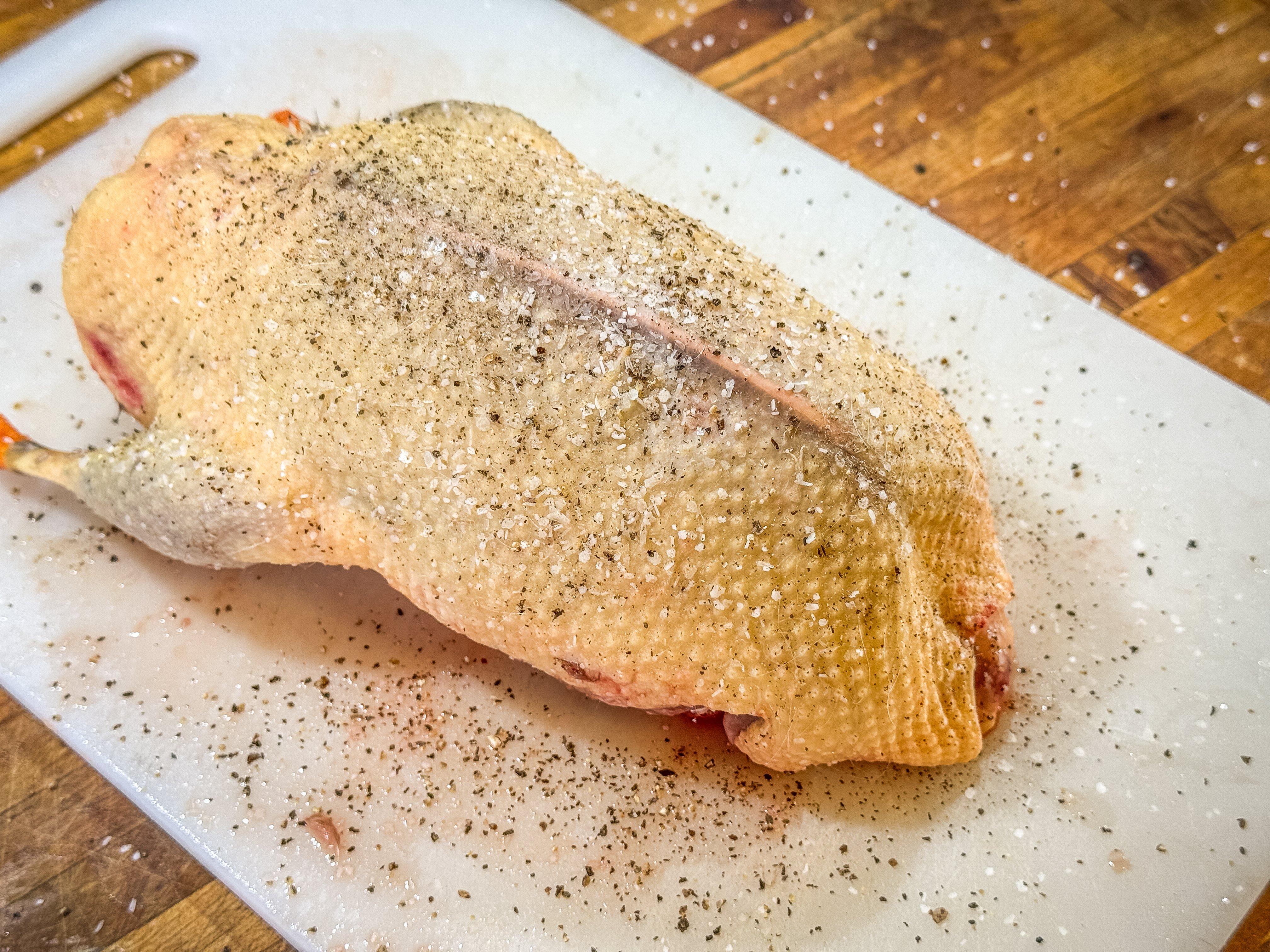 Image: apricot_duck_4