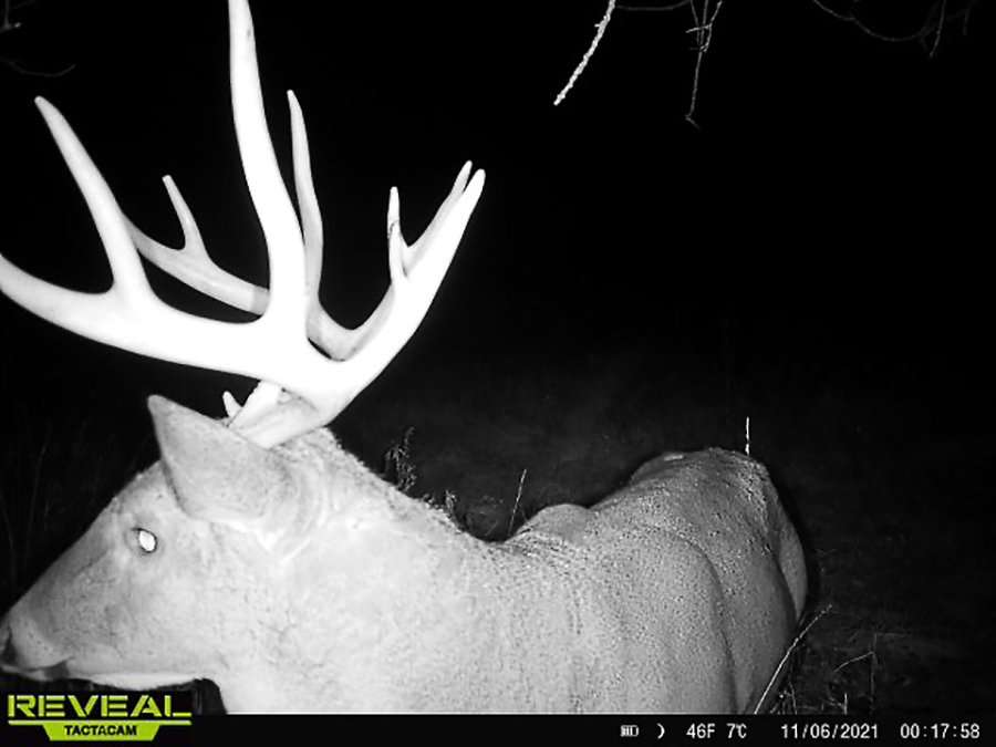 He knew this buck well, and used trail cameras to pattern the deer. Image courtesy of Art Helin