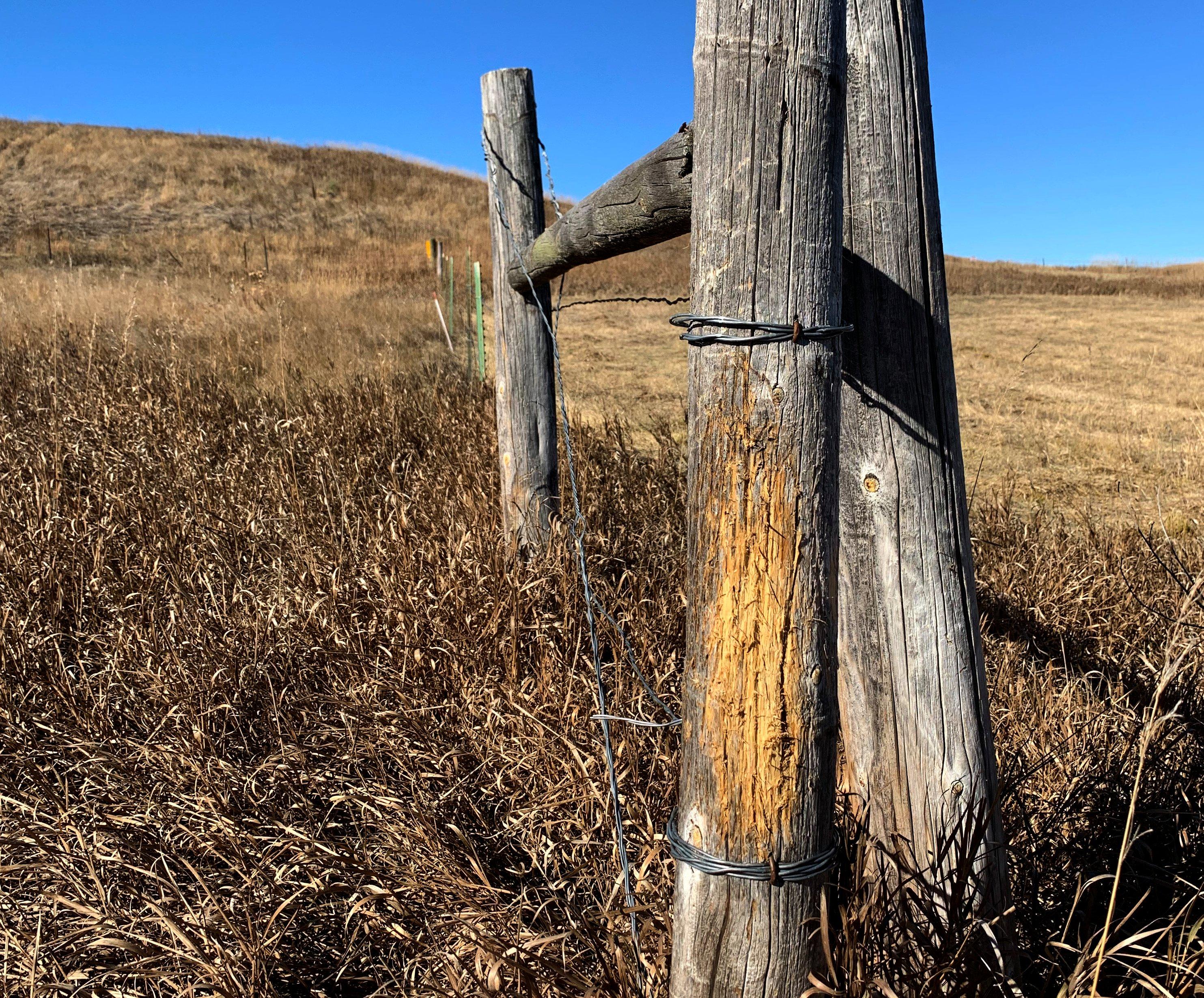 Image: attract_bucks