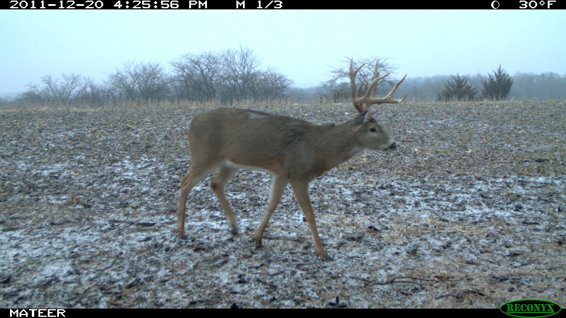 Baby 8 at 3 years old