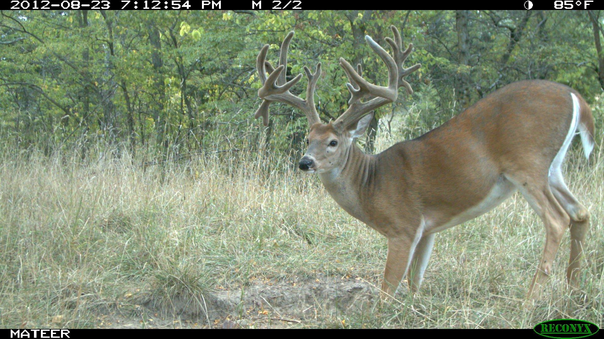 Baby 8 at 2 years old