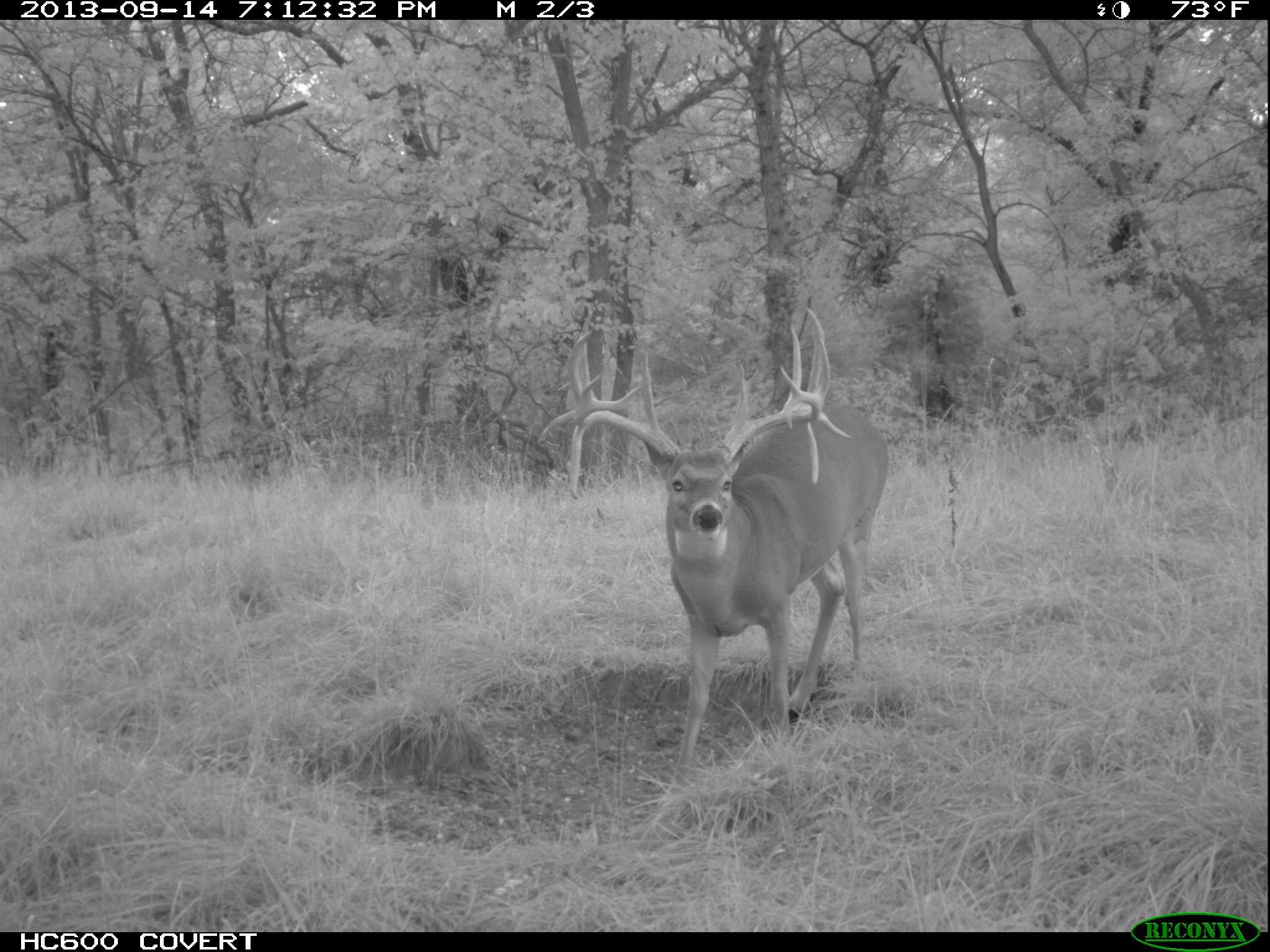 Baby 8 at 5 years old