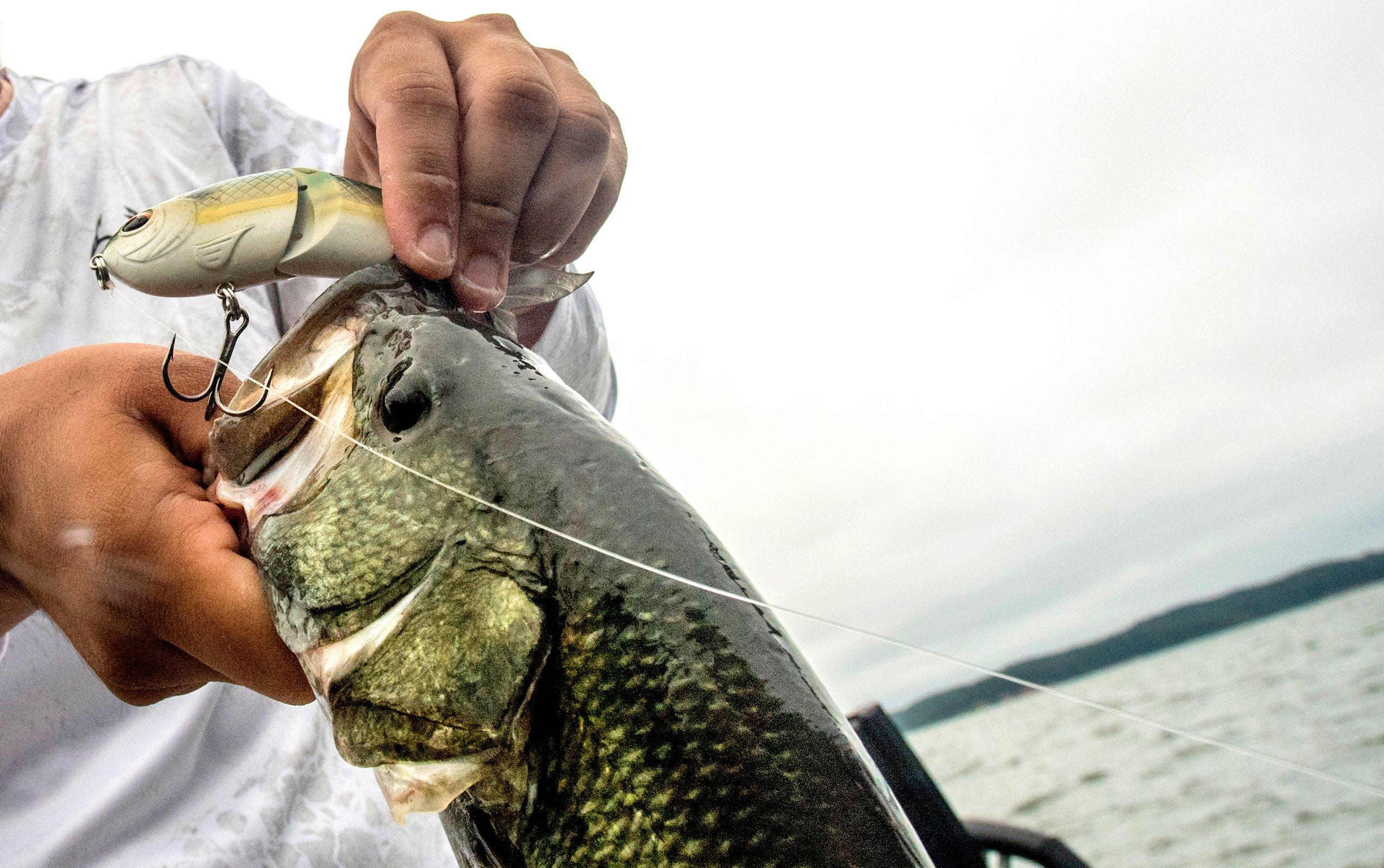 How to Catch Crappies All Spring - Realtree Camo