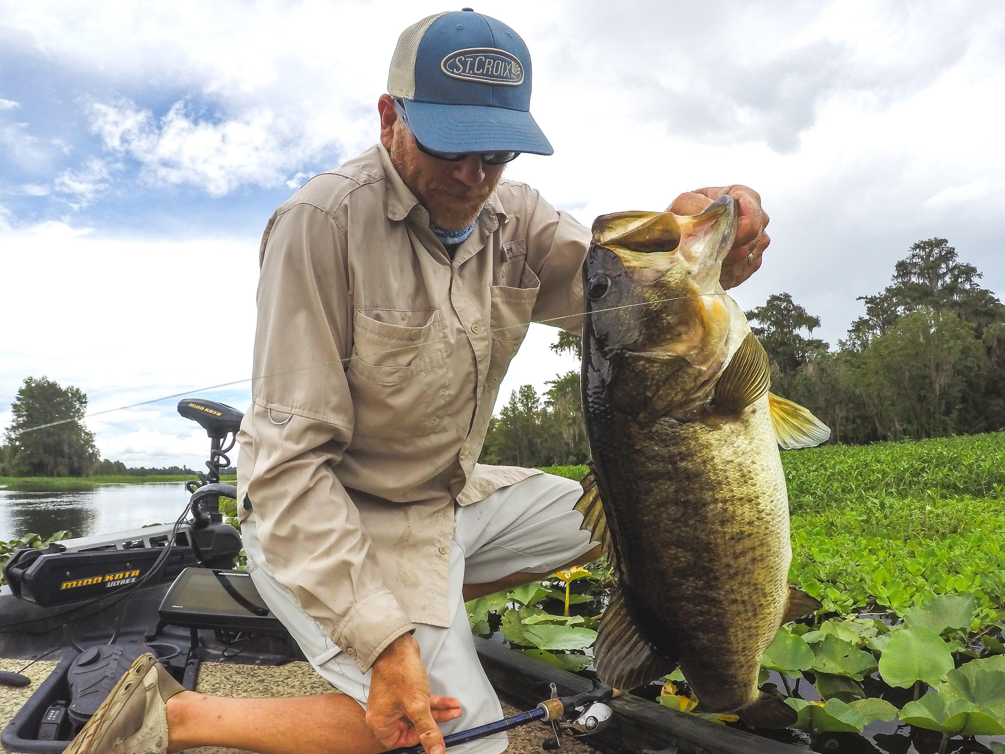 Image: bass_flipping_4