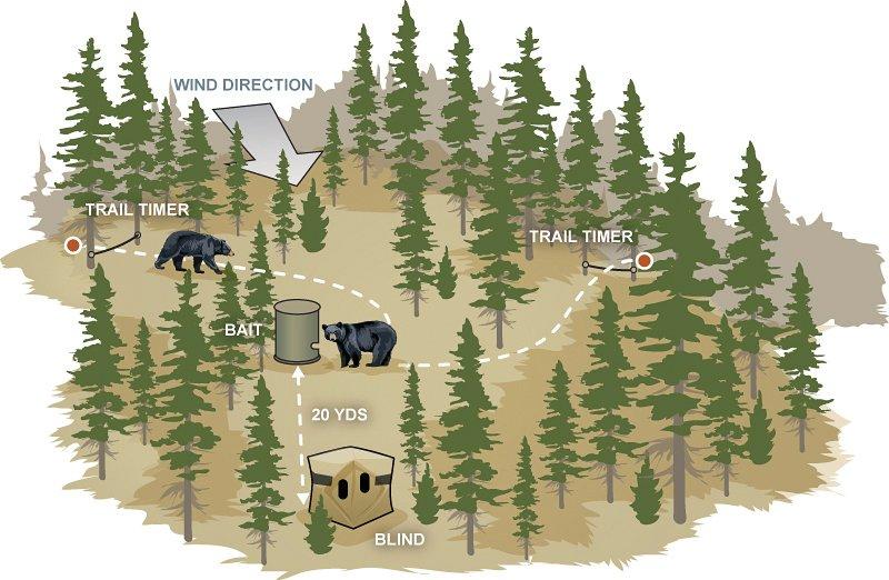 Bear Baiting: Setting up your station - Hunter Education, Alaska Department  of Fish and Game