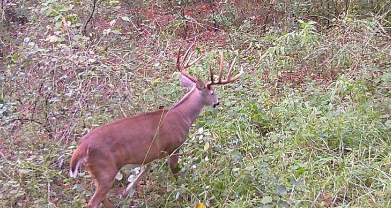 Starting on October 18, Beasley's trail camera captured the 150-class Florida buck many times un-til October 22 when he arrowed the buck. Image courtesy of Cody Beasley